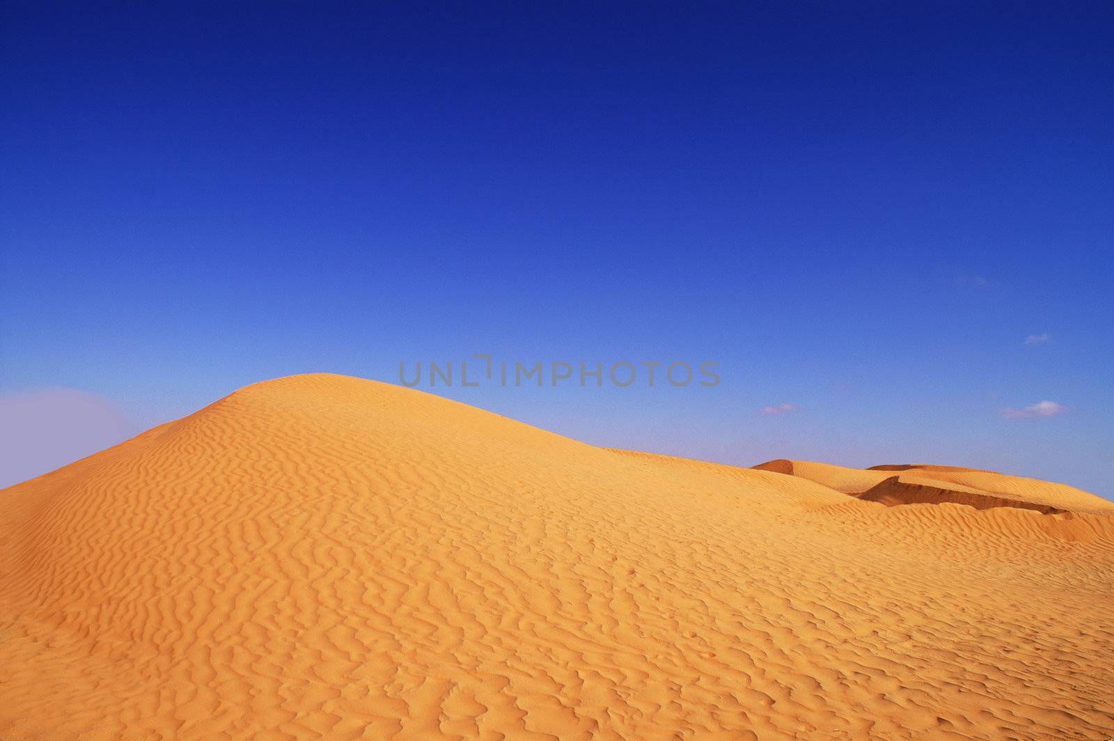 dunes and blue sky by photochecker