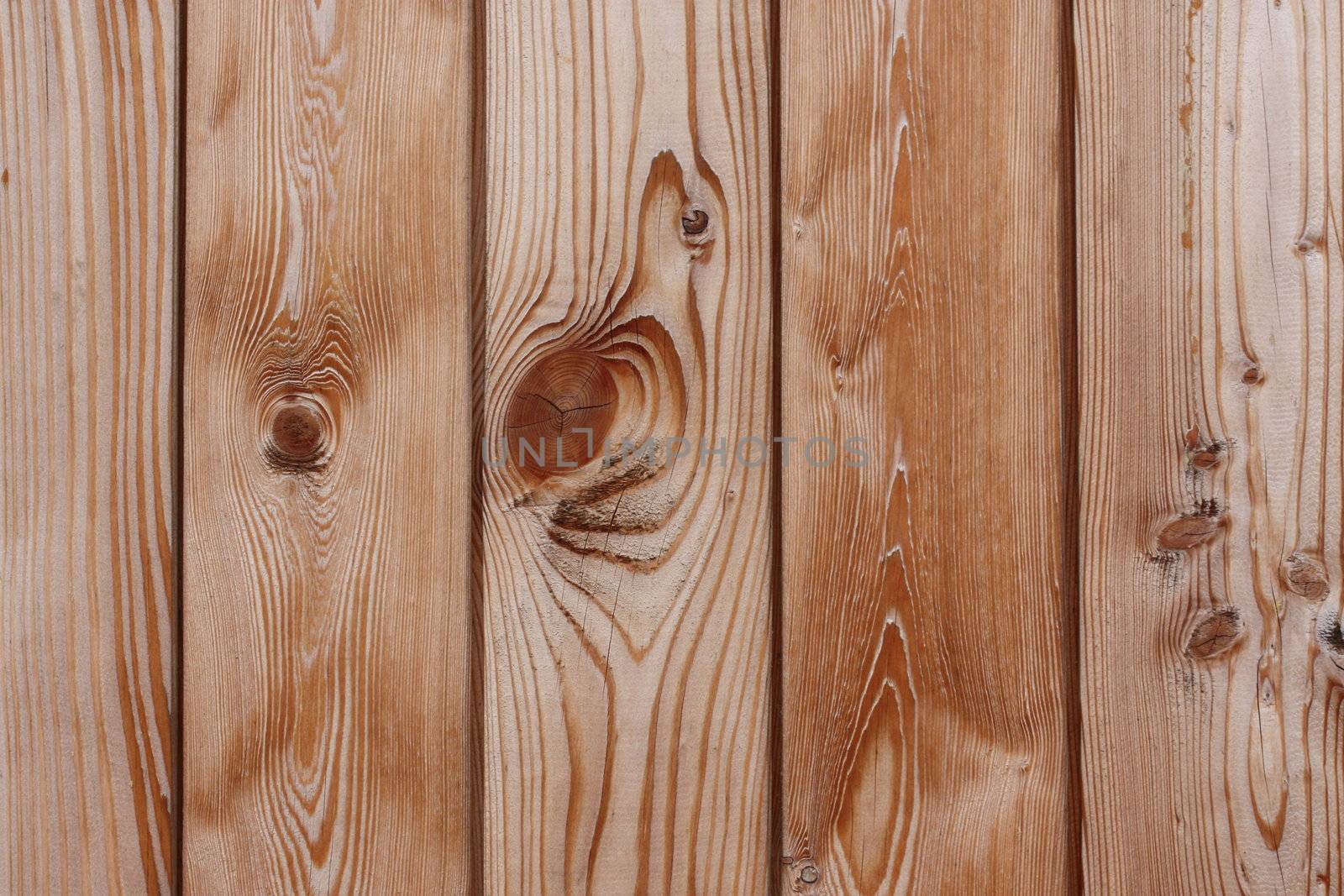 wood by photochecker
