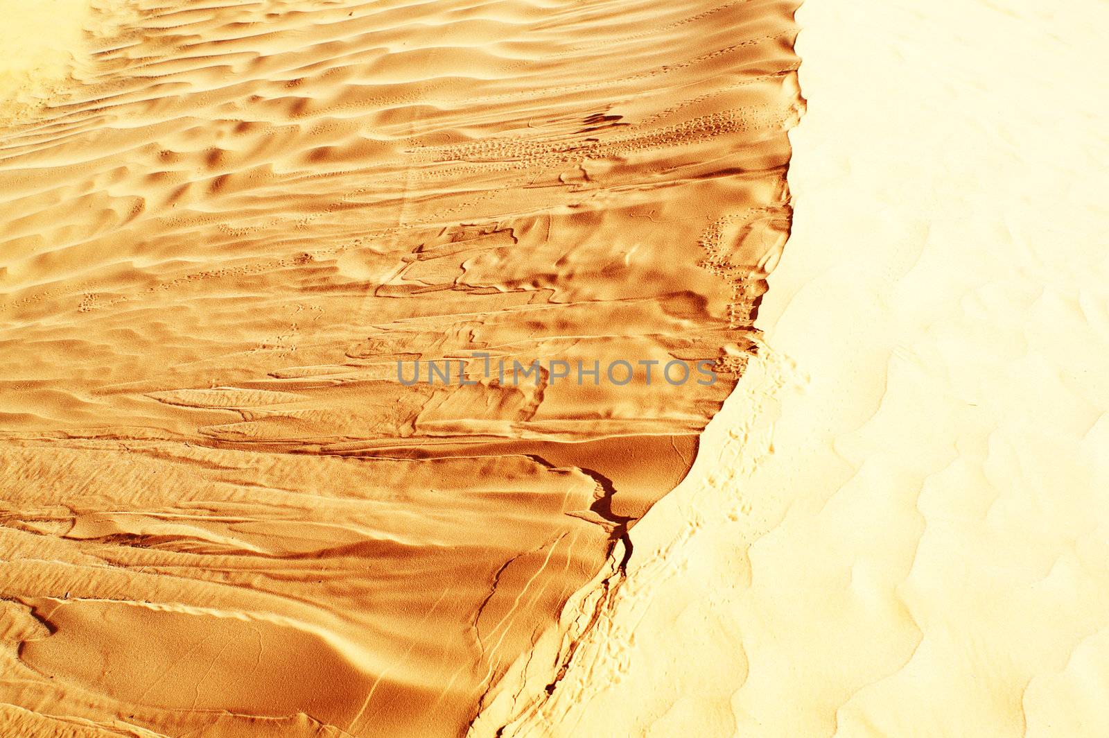 Dune by photochecker