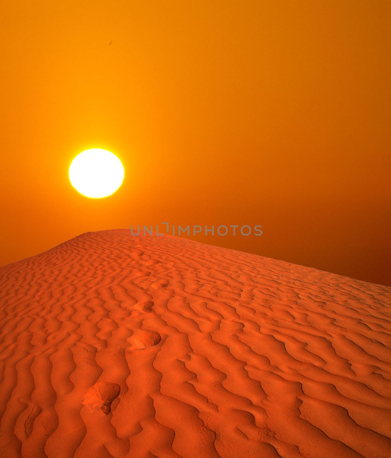 sahara sunset by photochecker