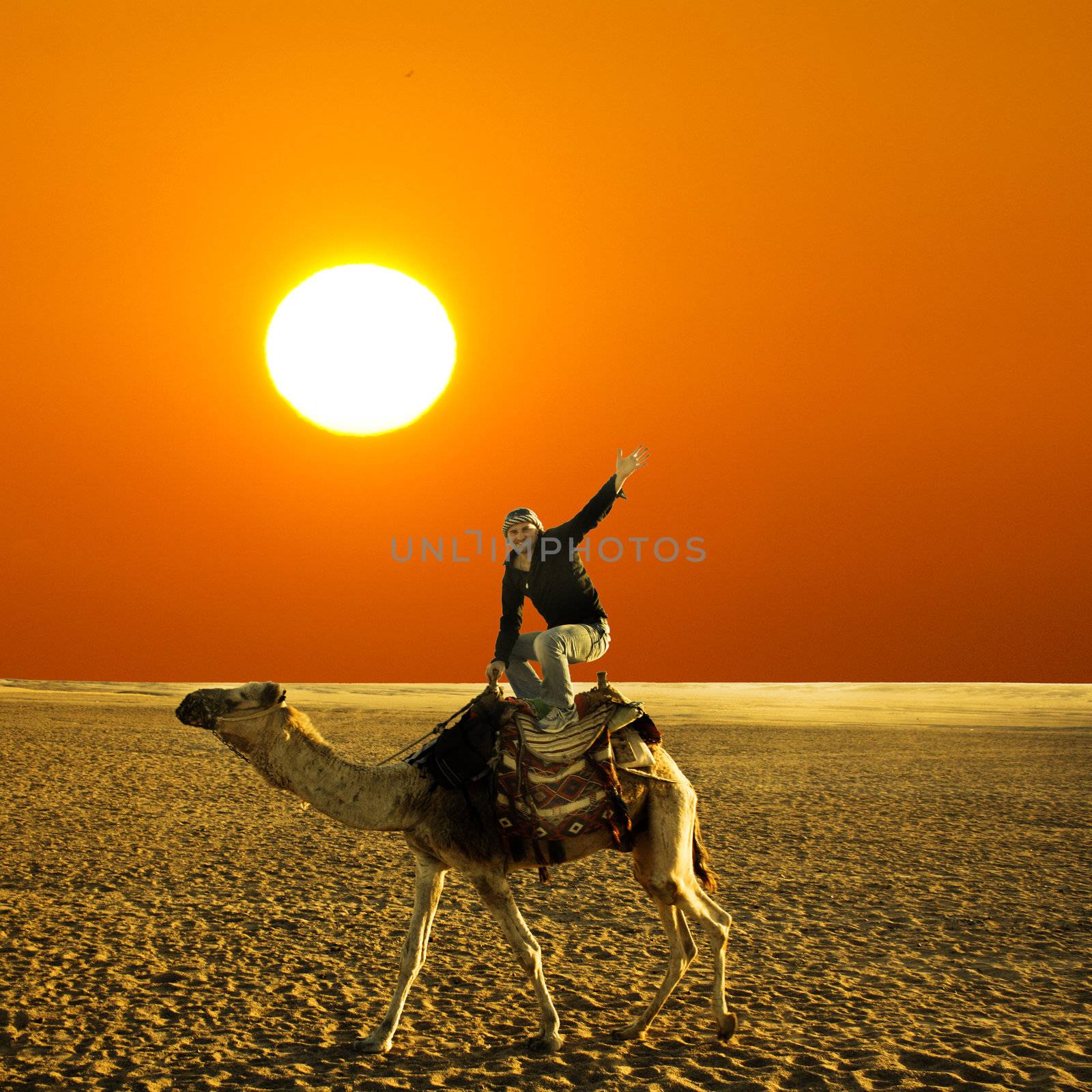 pose on the camel by photochecker