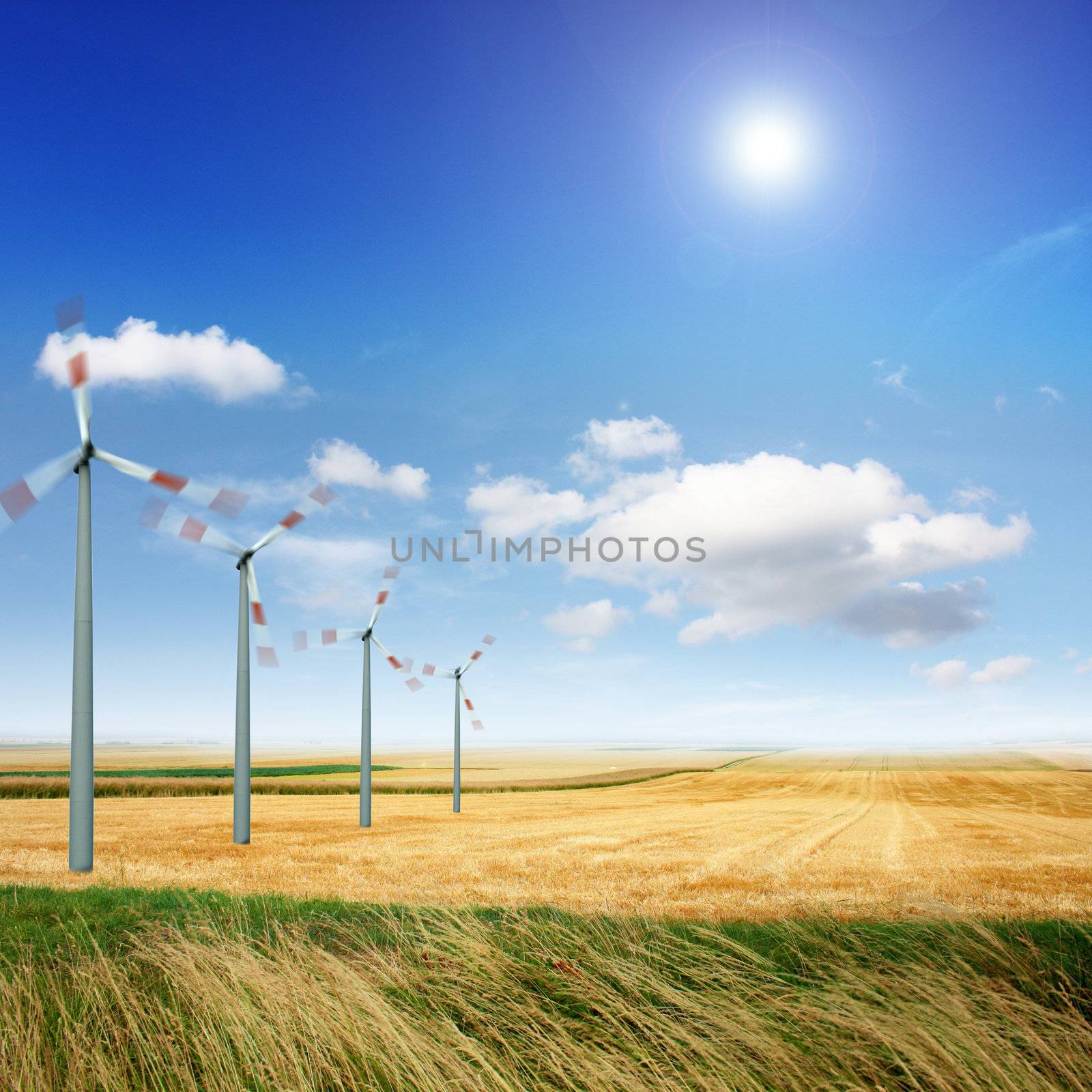 Wind turbines on the field by photochecker