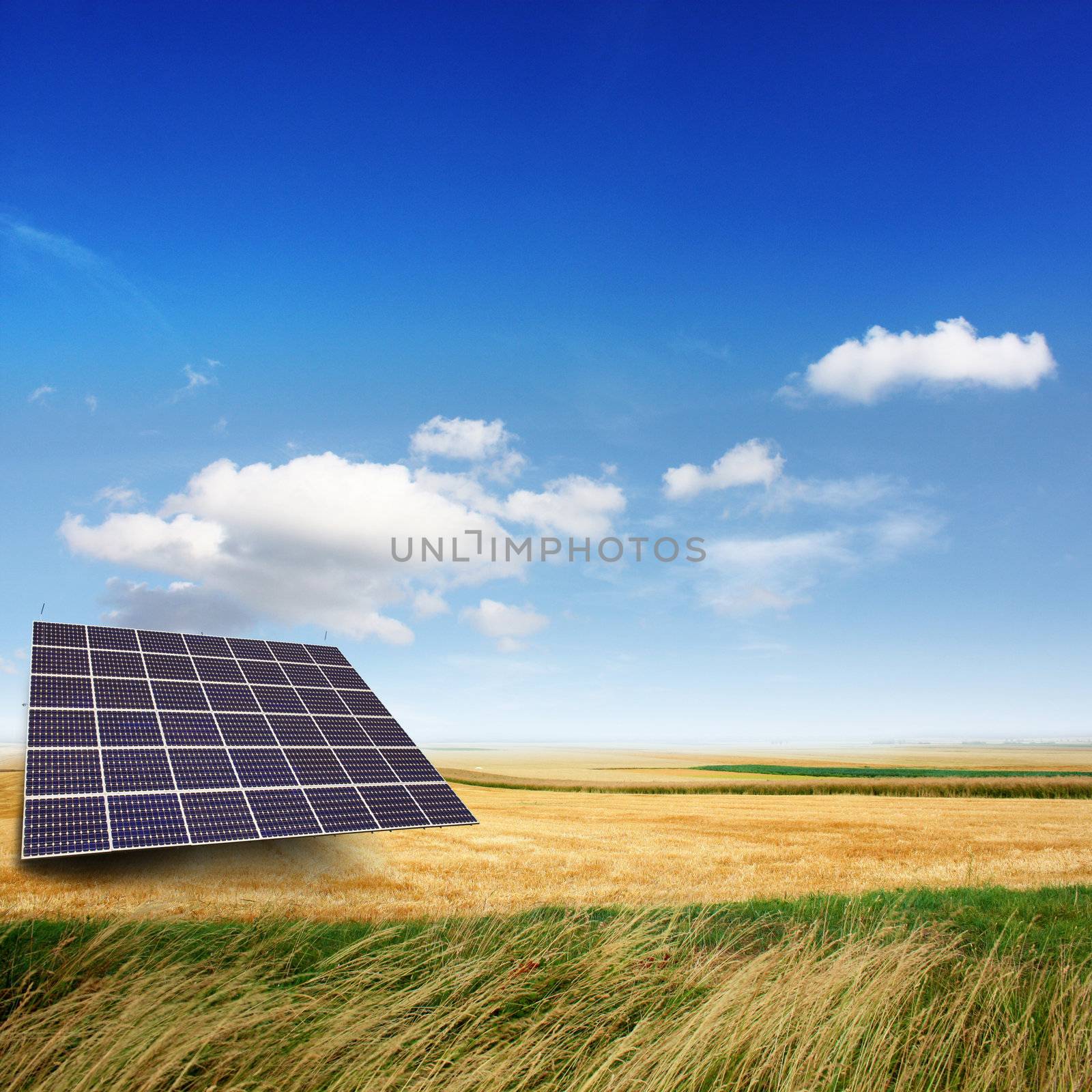 Solar panels generate electricity on a sunny day