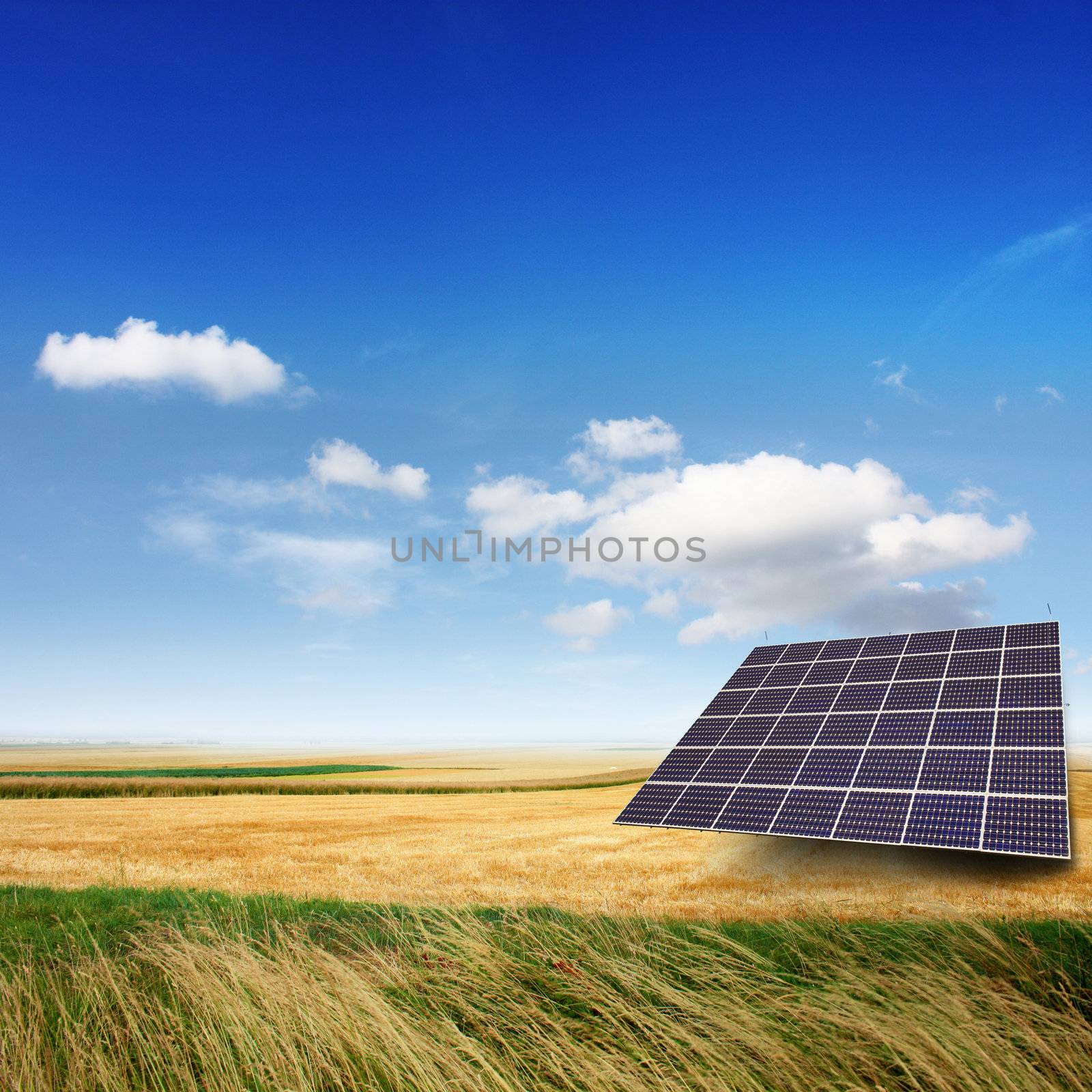 solar panel on a field by photochecker