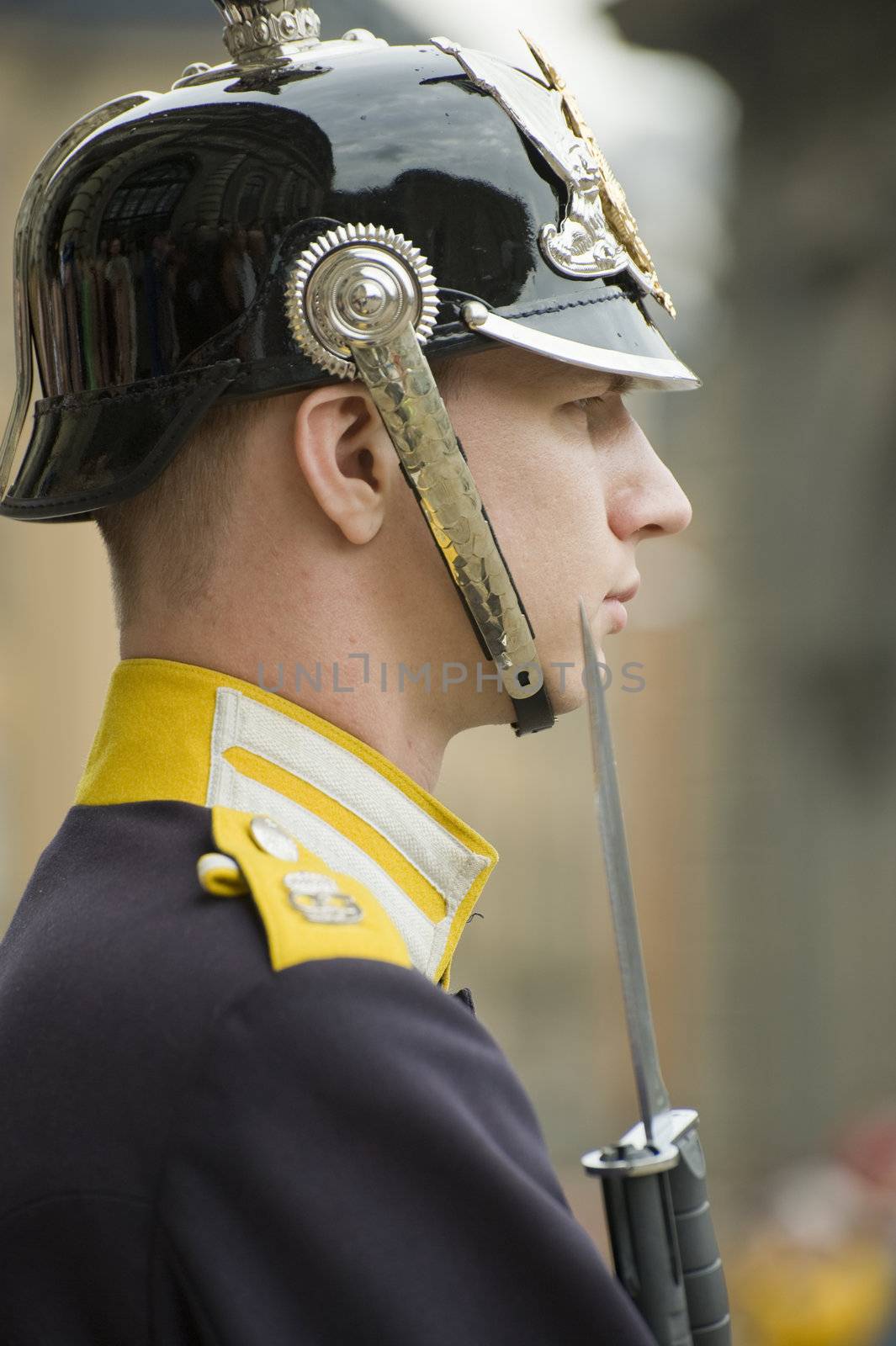 Sweden Royal guard protects the residence of the king in Stockholm.Taken on Julay 2011