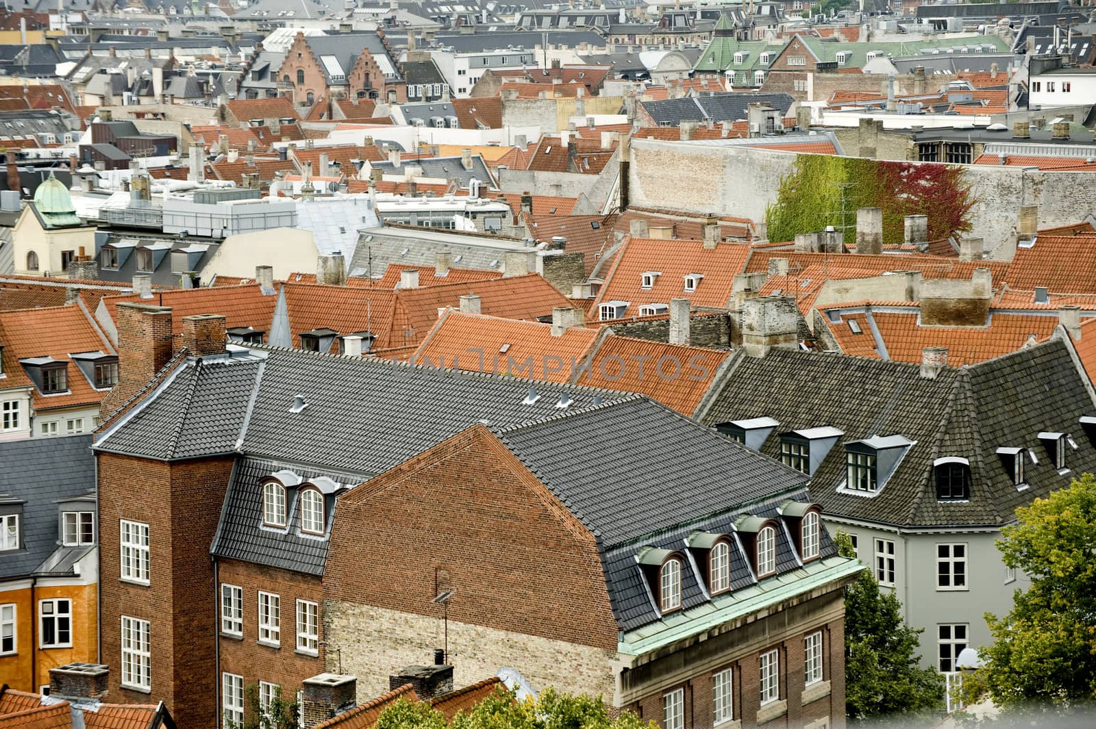 View of Copenhagen from height of bird's flight