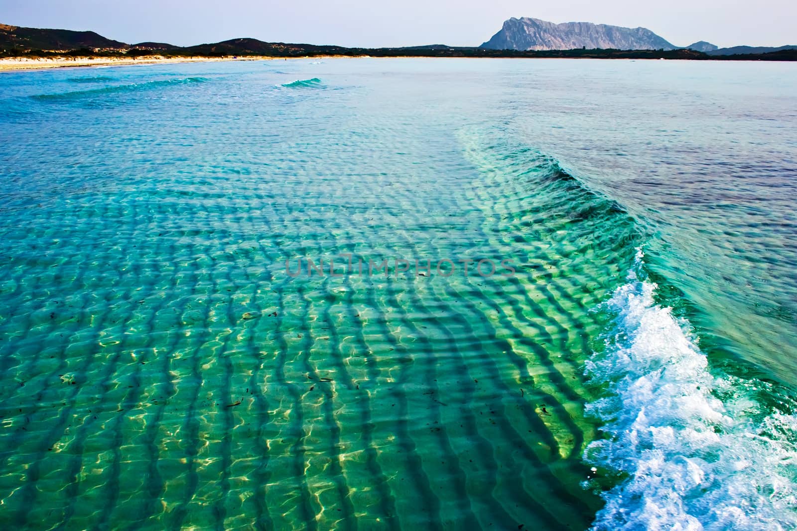 A wave in the Tyrrhenian Sea near la Cinta beach, Sardinia, Italy