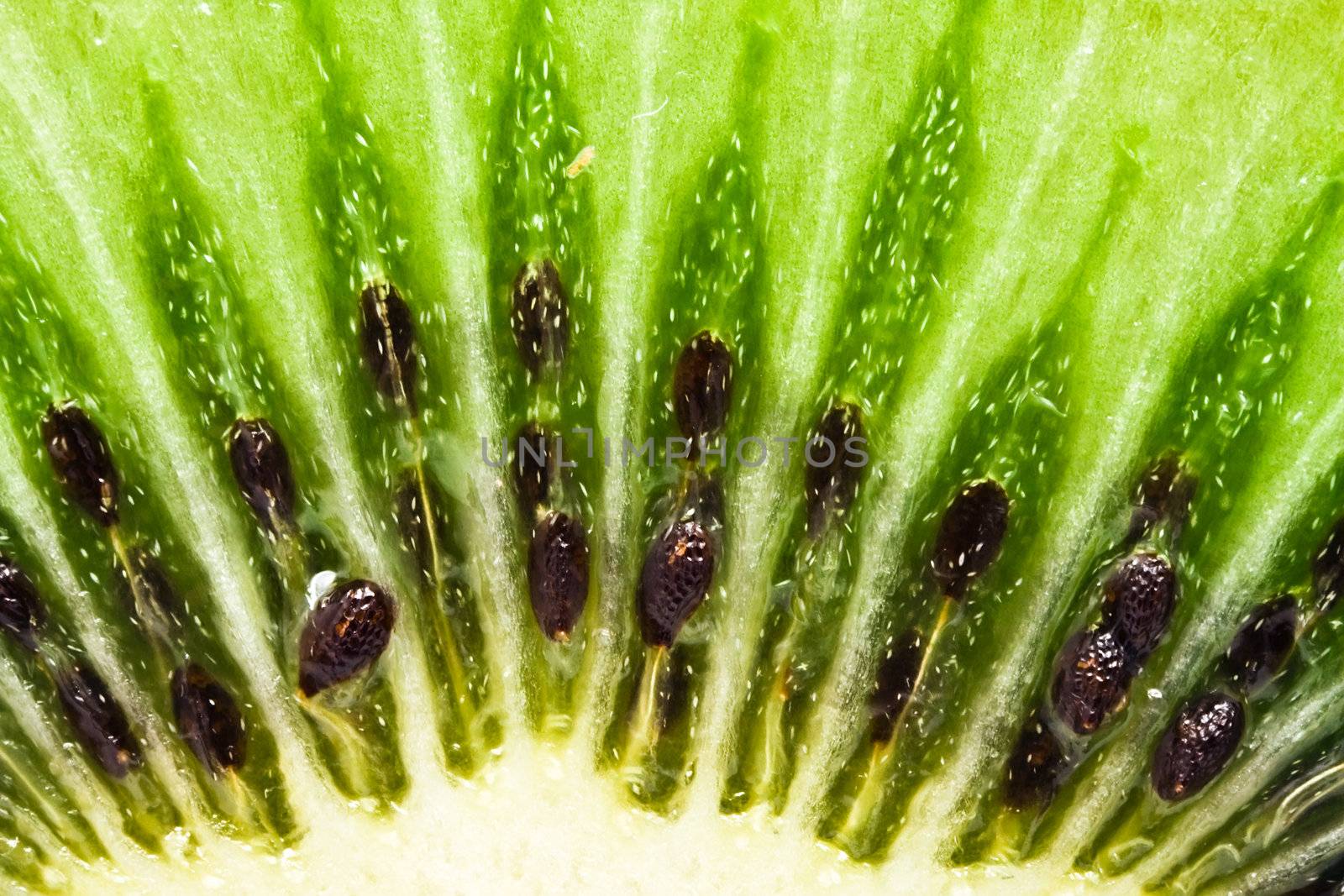 Macro photo of a fresh kiwi