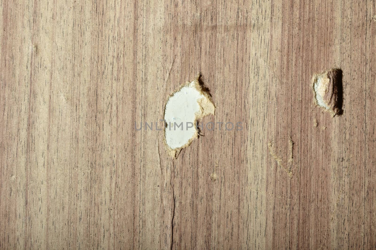 Torn wooden wallpaper by Novic