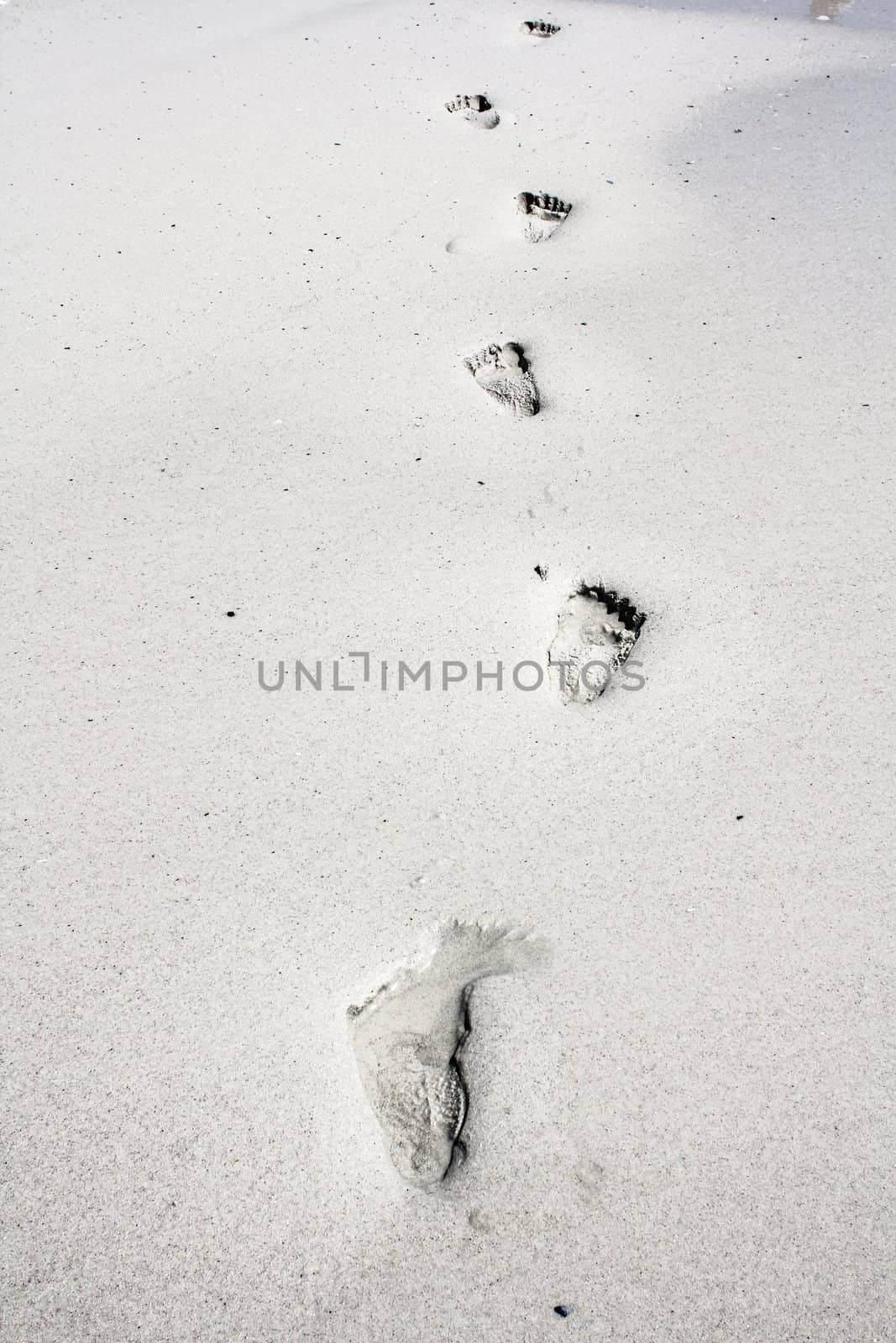 Footsteps in the sand by dwaschnig_photo