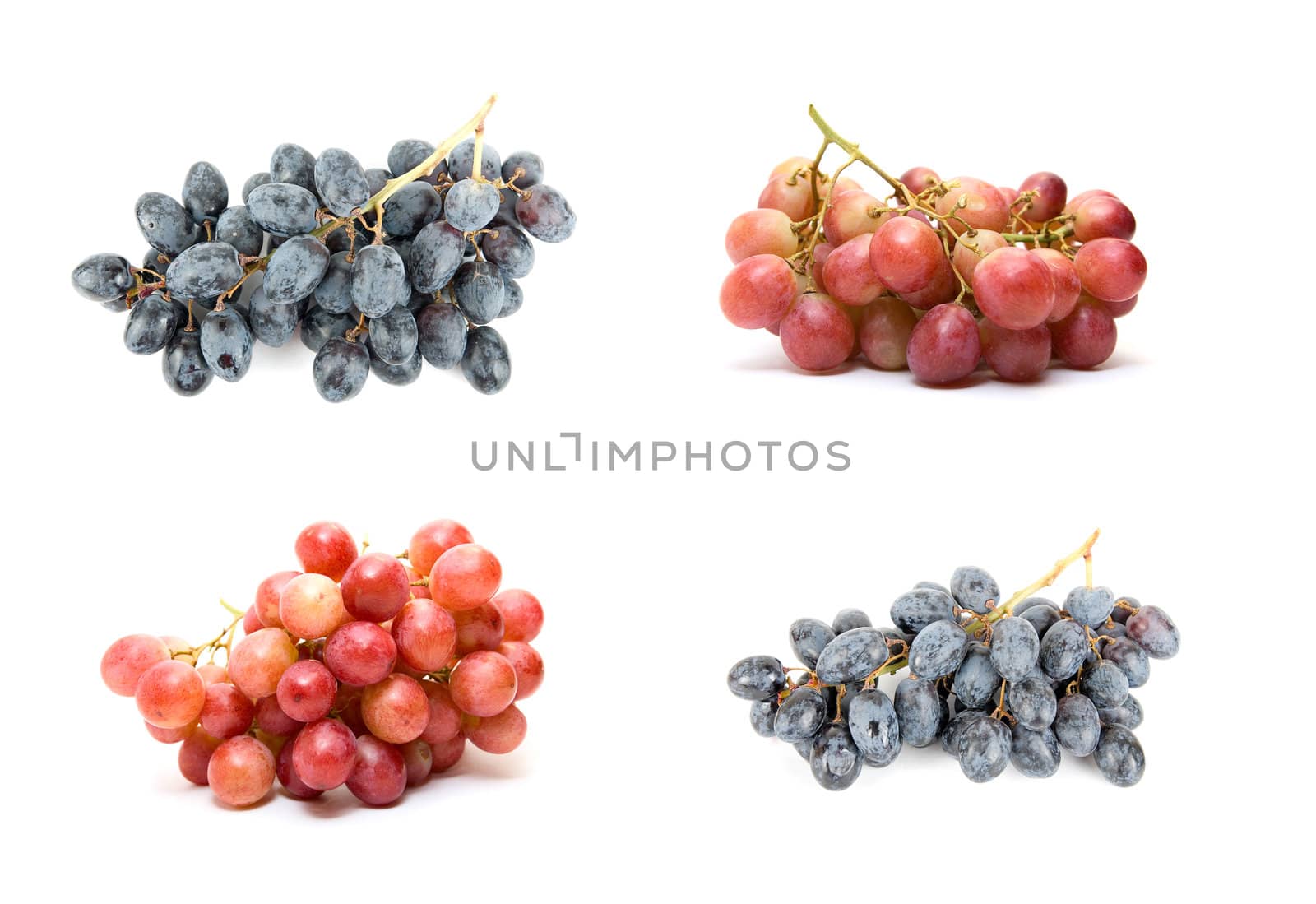 grape set isolated on white background