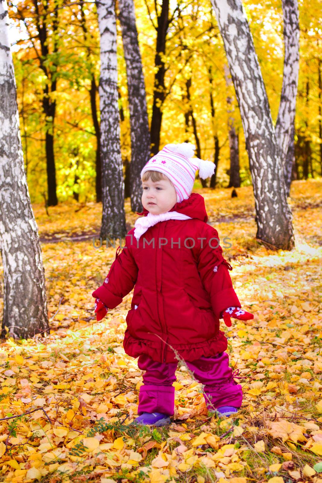 Girl on autumn forest by rbv