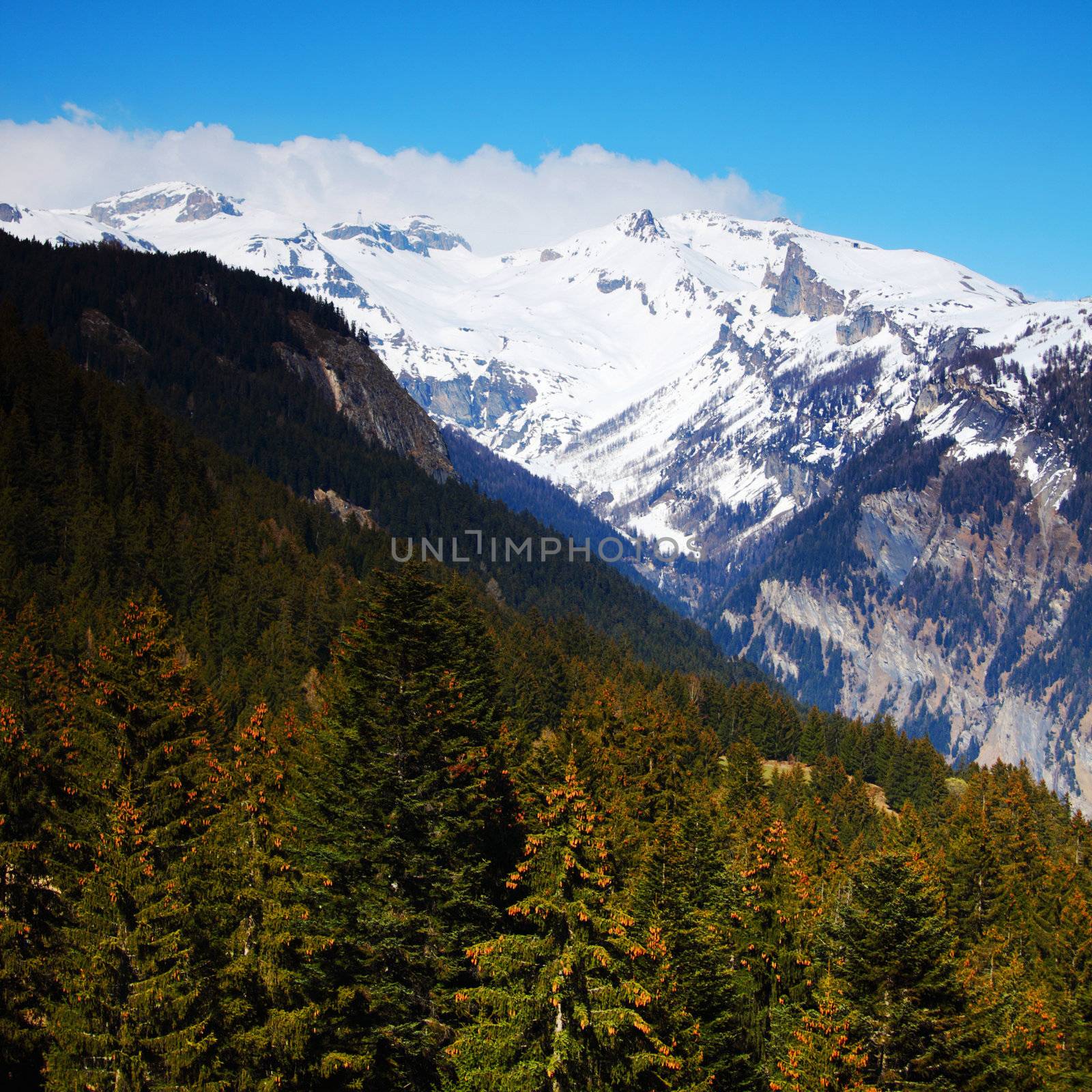 spring alps mountains scene background