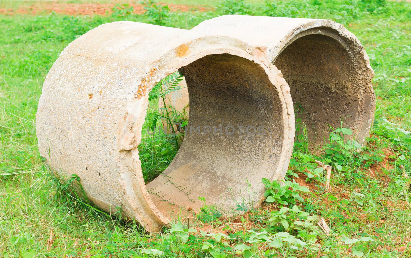 This is a old Concrete pipe on ground with Weed