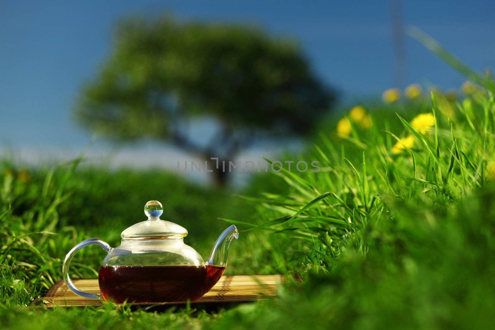 Tea by Yellowj