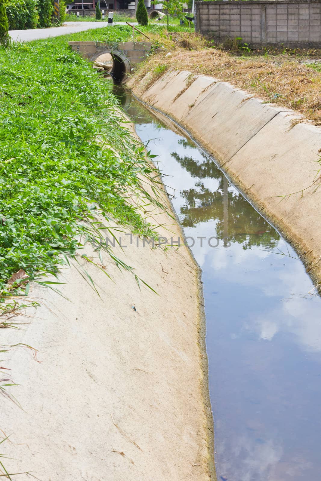 This is a Drainage channel have a weed