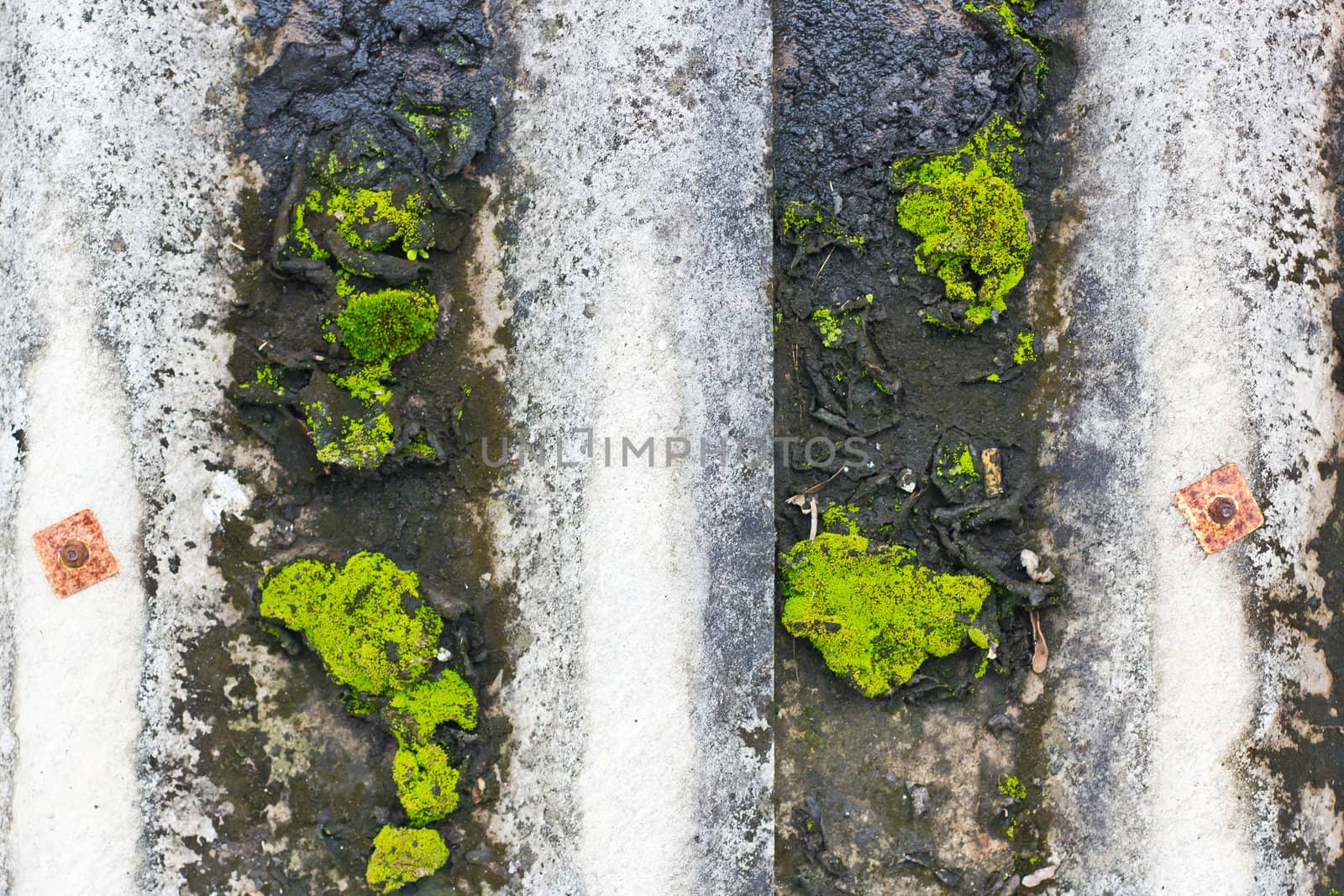 This is a Old tile roof ,It's have green moss