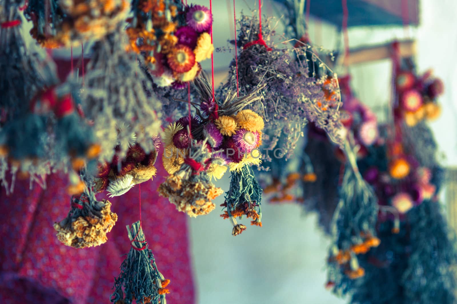 flowers bouquets drying on the ceiling