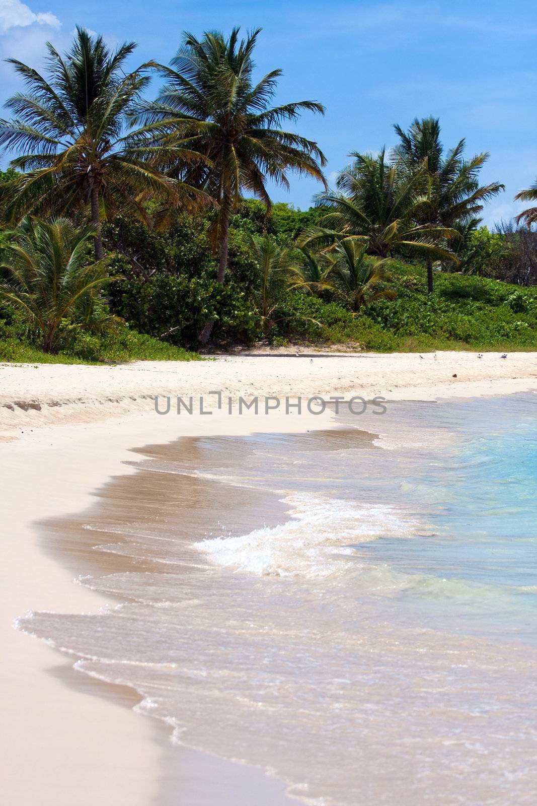 The breathtaking Flamenco beach on the Puerto Rican island of Culebra with palm trees and white sands.
