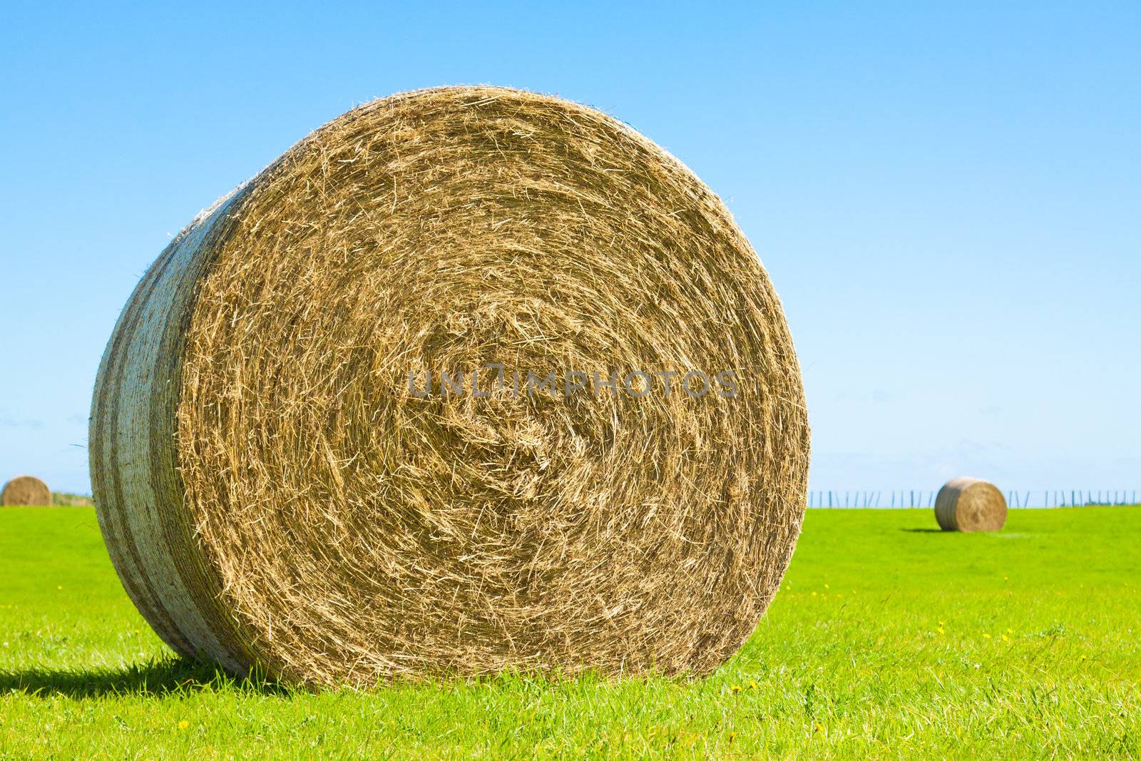 Close-up of a big round hay bale roll in a green field