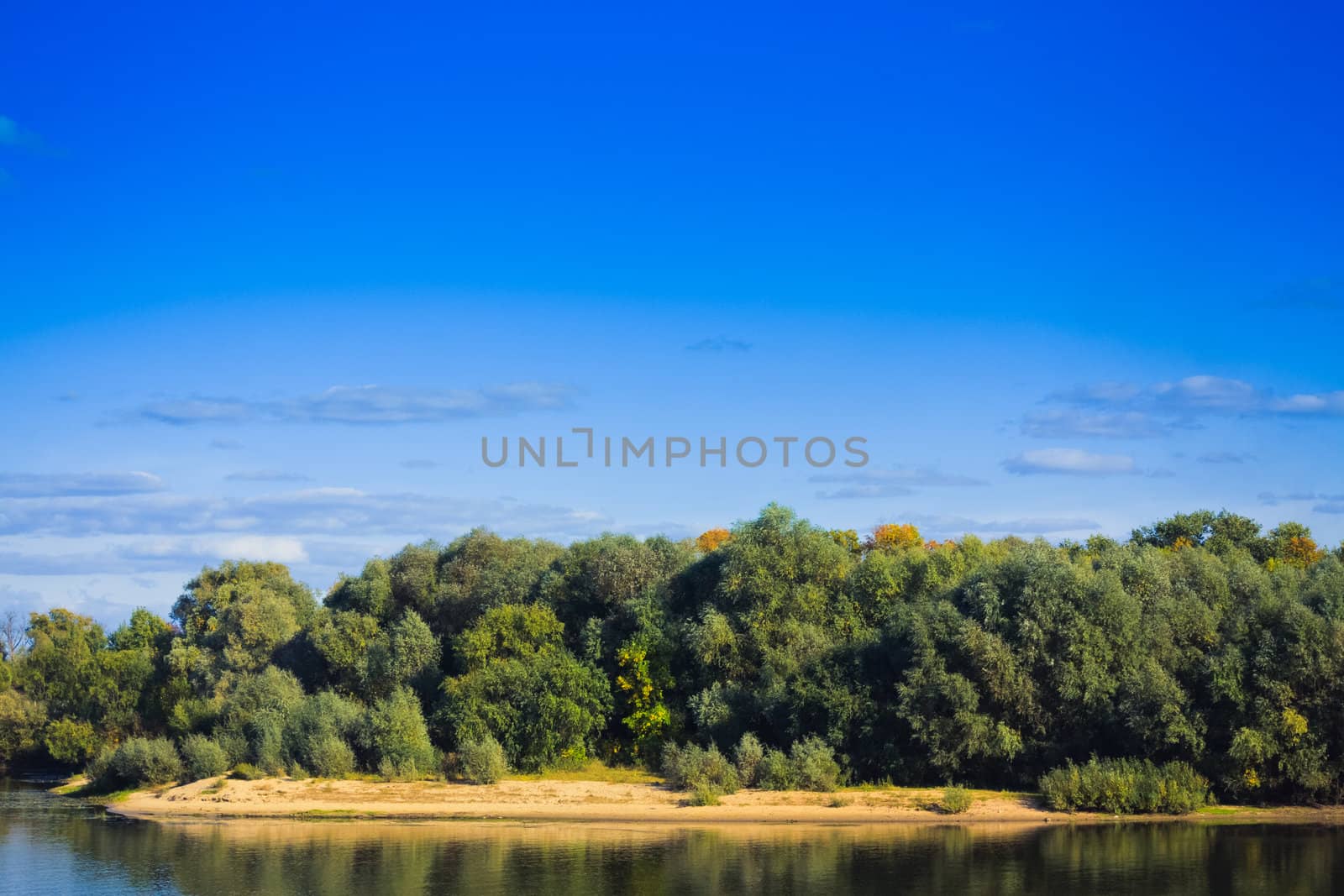 Forest lake under blue cloudy sky by ryhor