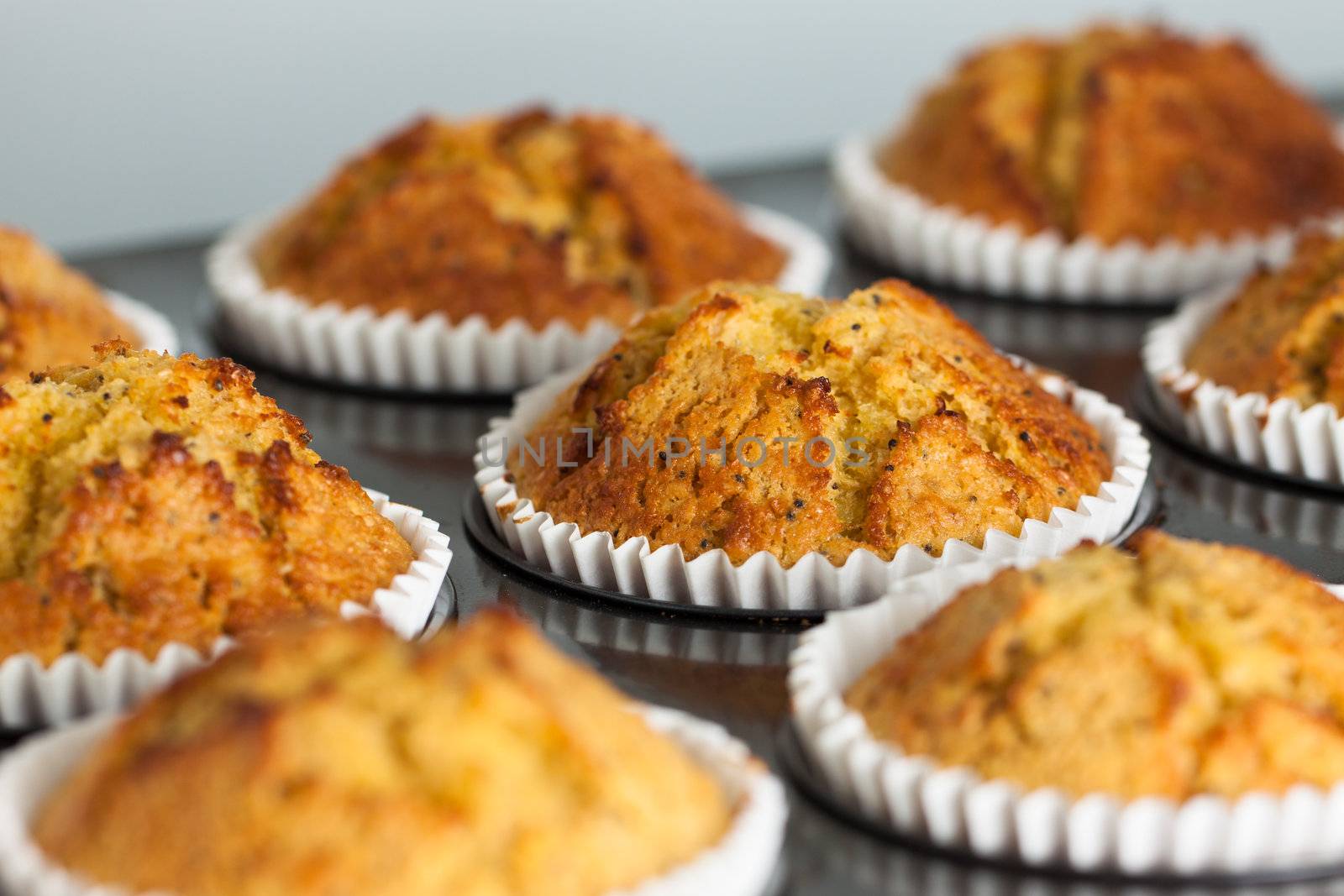 Close-up of delicious home baked banana muffins in an oven tray