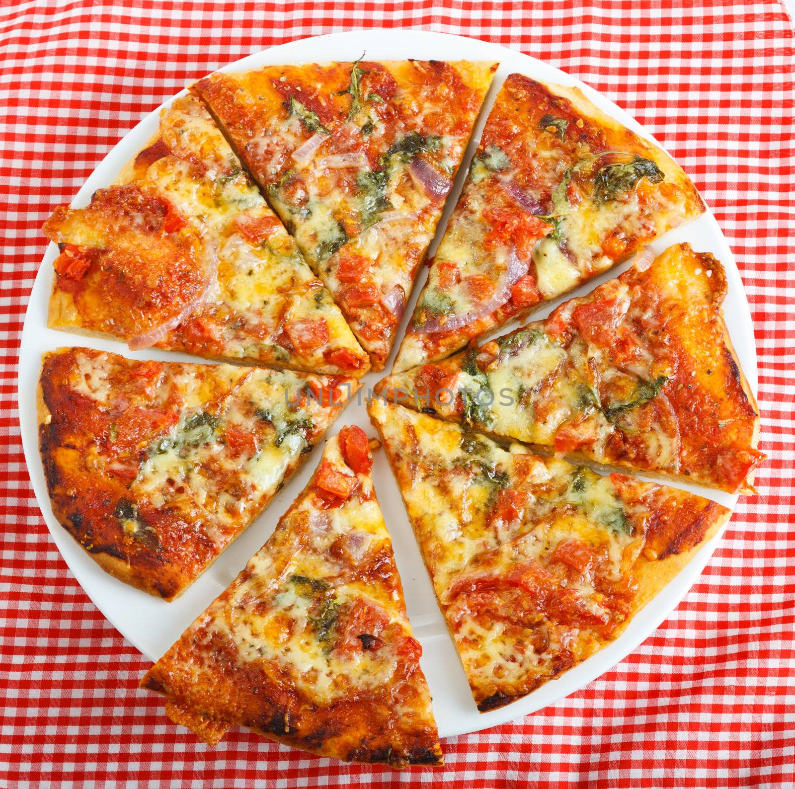 A delicious homemade round pizza on a red checkered table cloth
