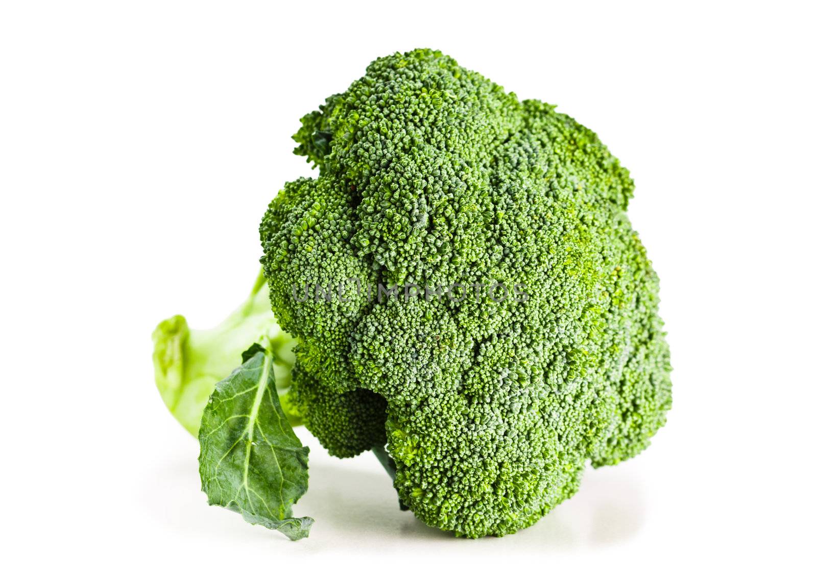 A large fresh organic broccoli head. Isolated on white