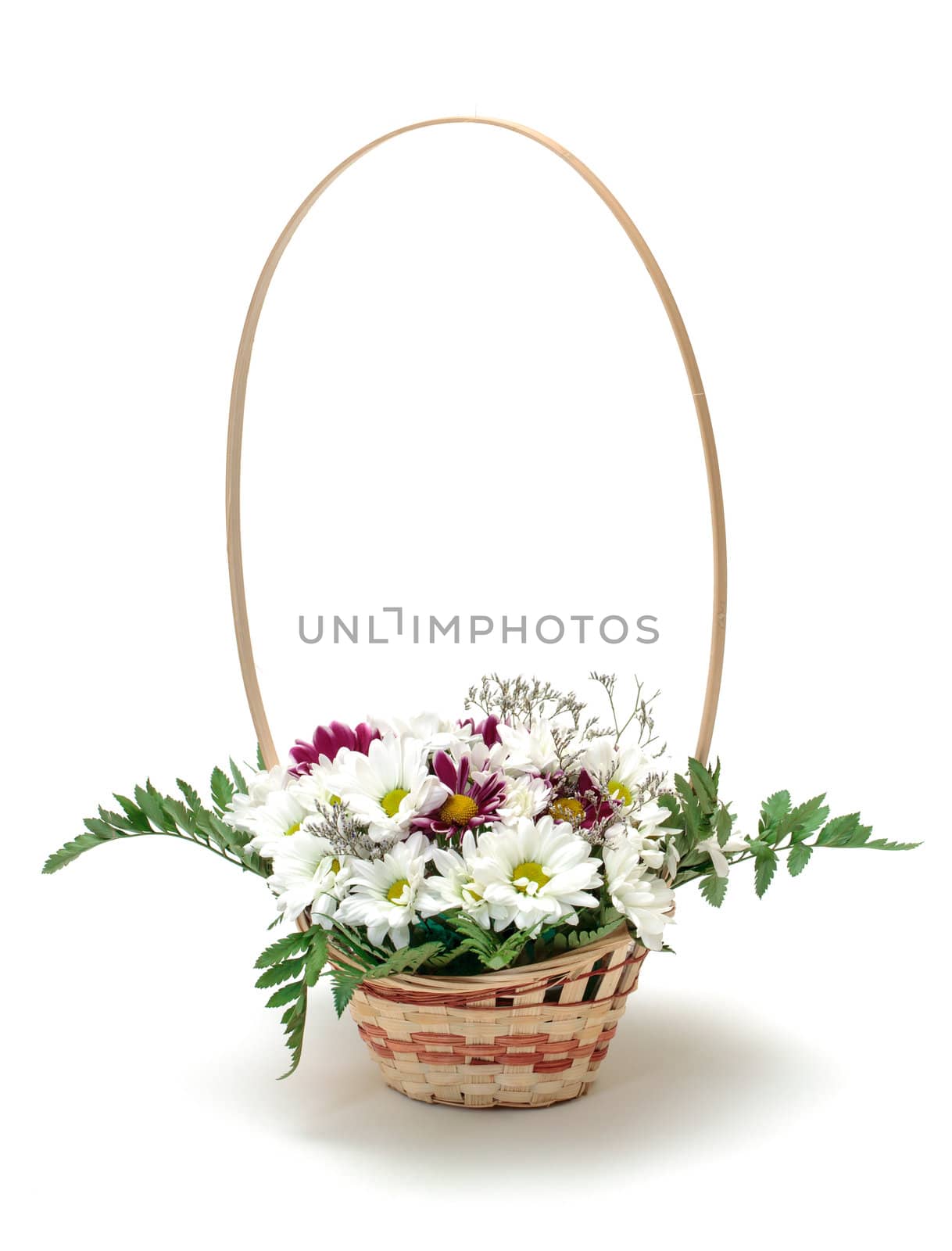 Vibrant Flowers Daisies in Basket by Discovod
