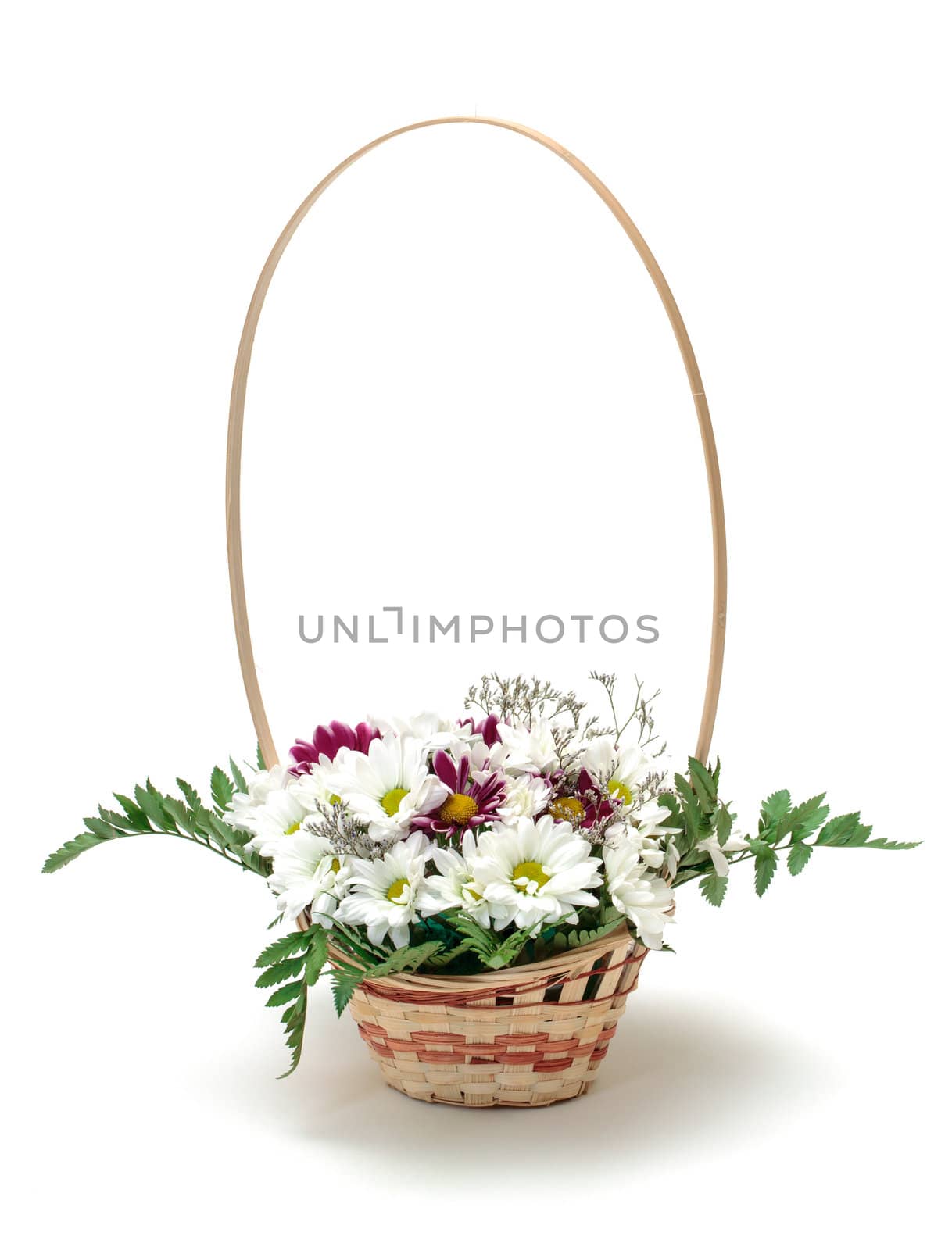 Vibrant Flowers Daisies in Basket, on white background