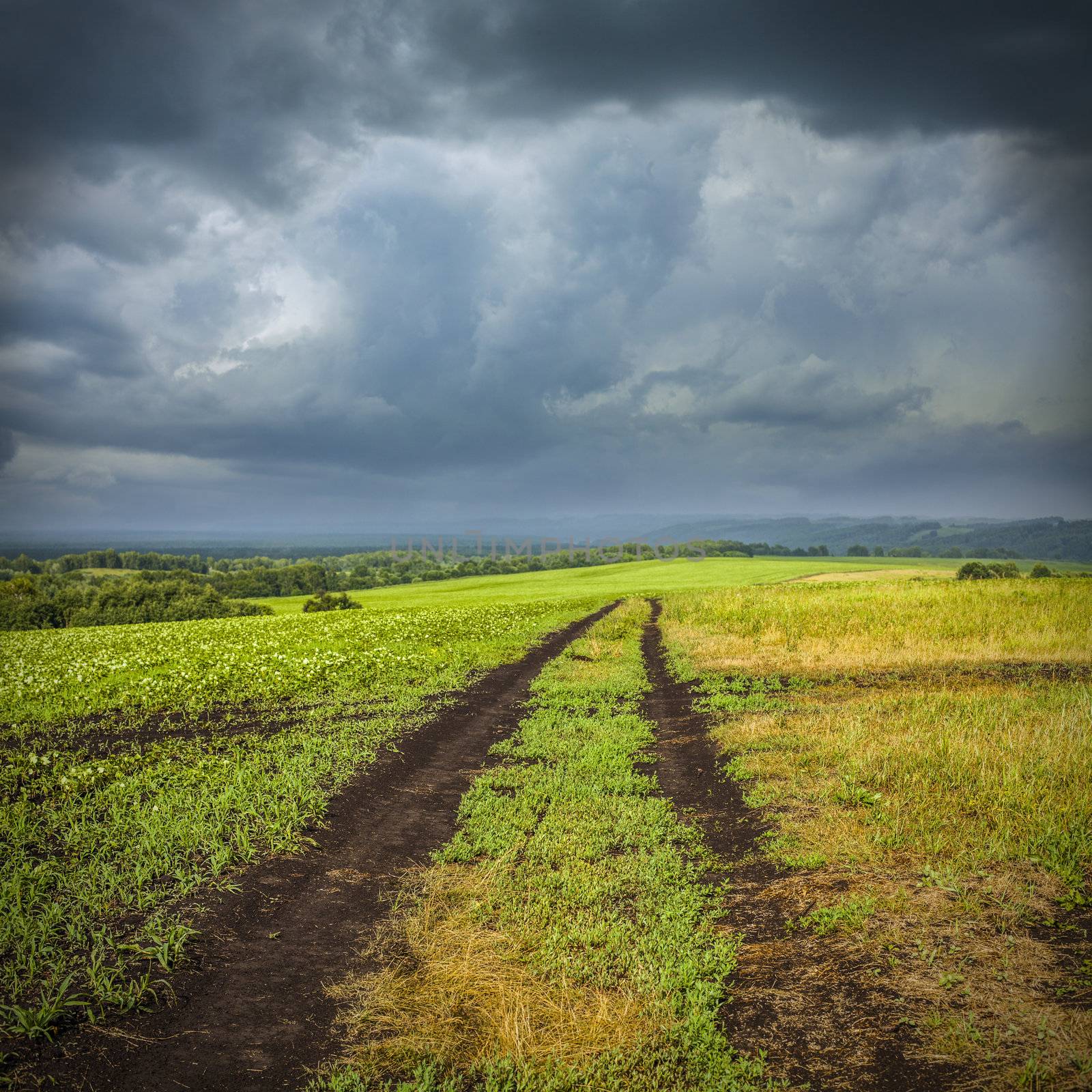 landscape with the sky and the field