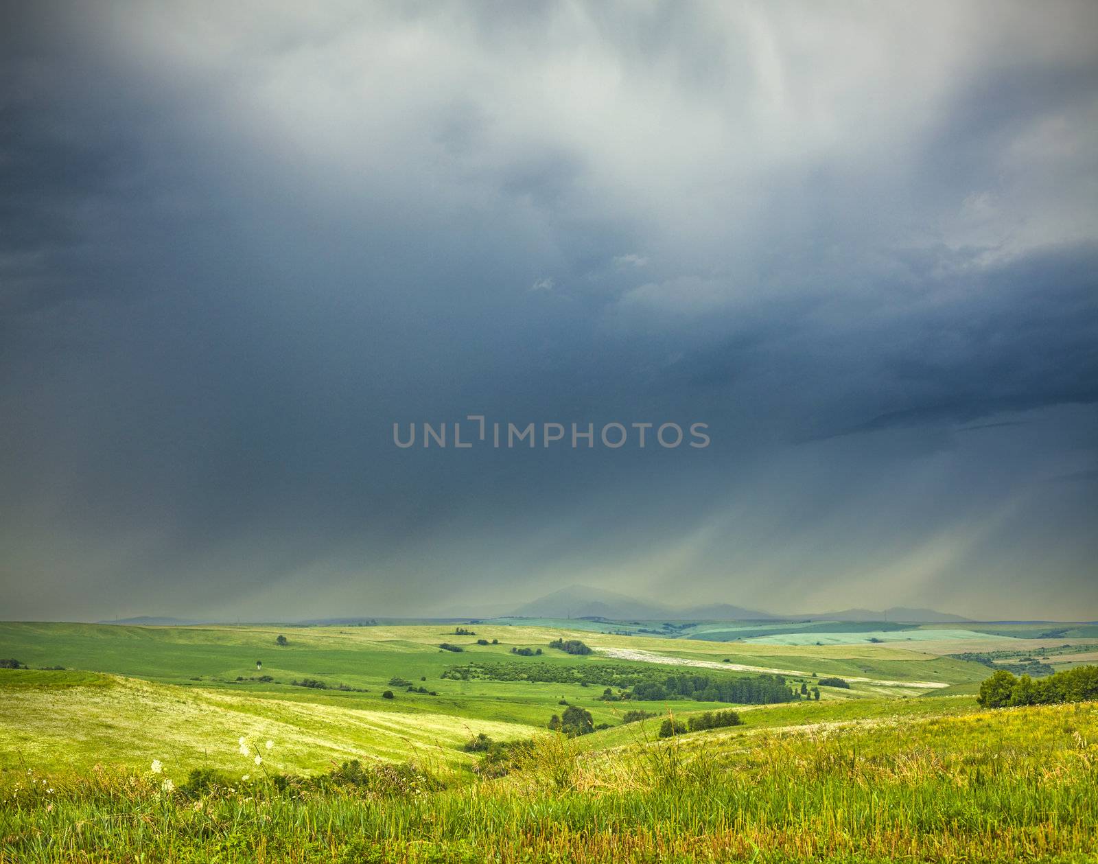 landscape with the sky and the field