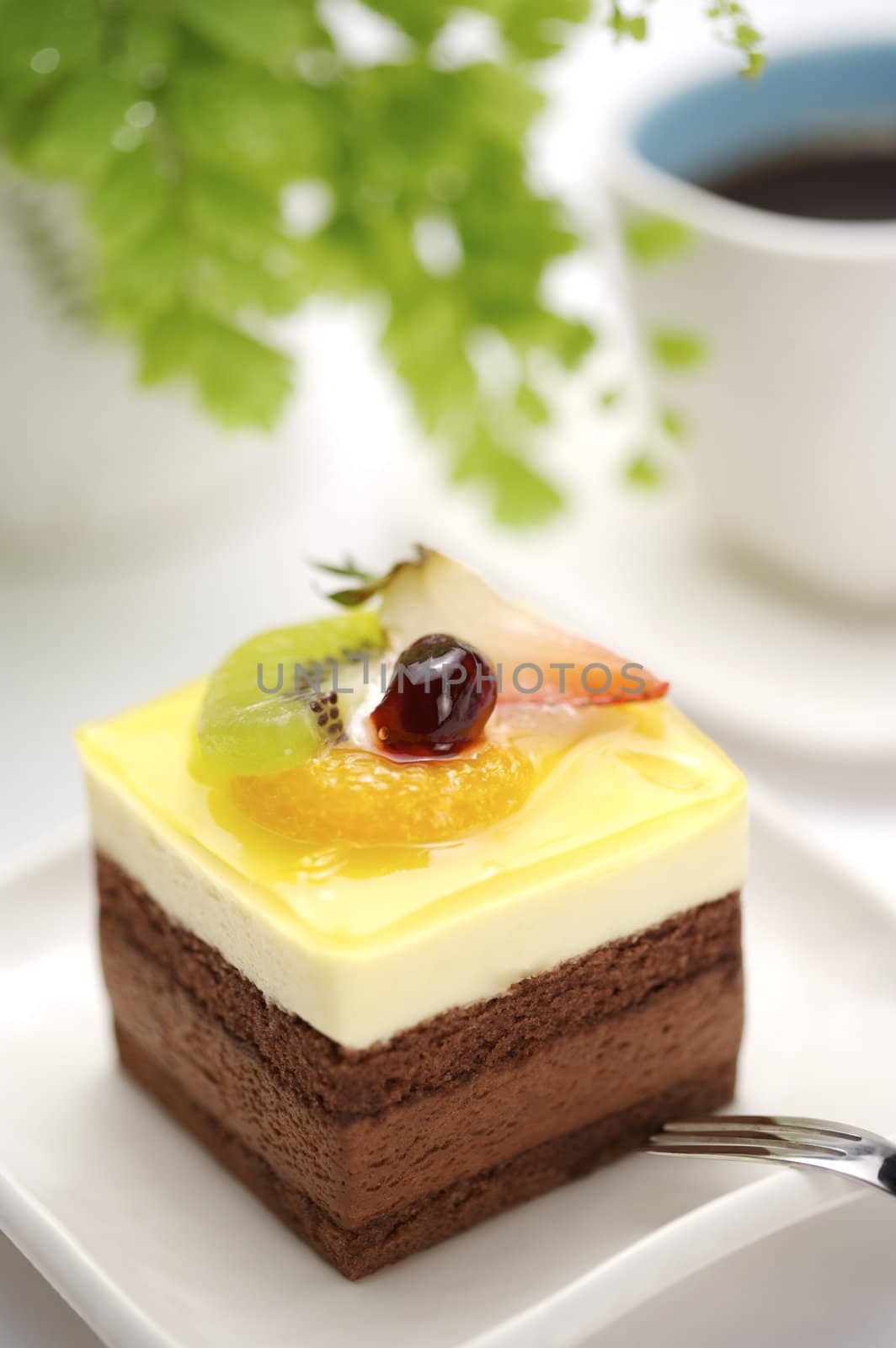 Fruit sponge cake slice