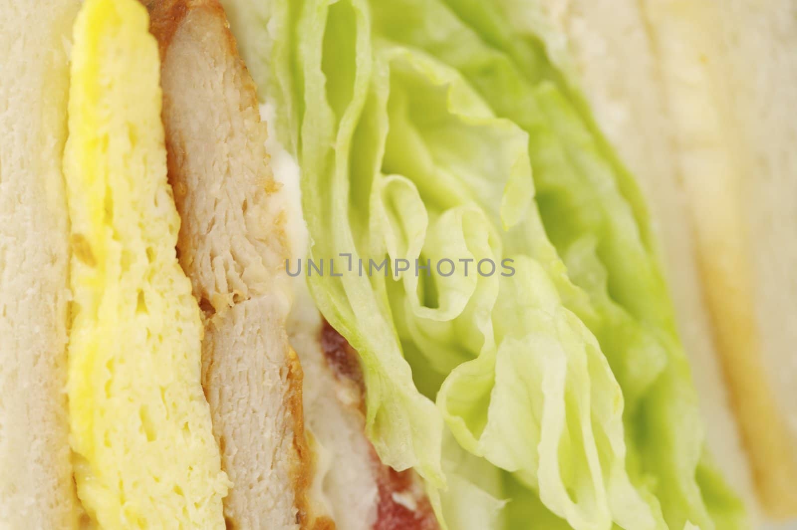 Sandwich by Baltus