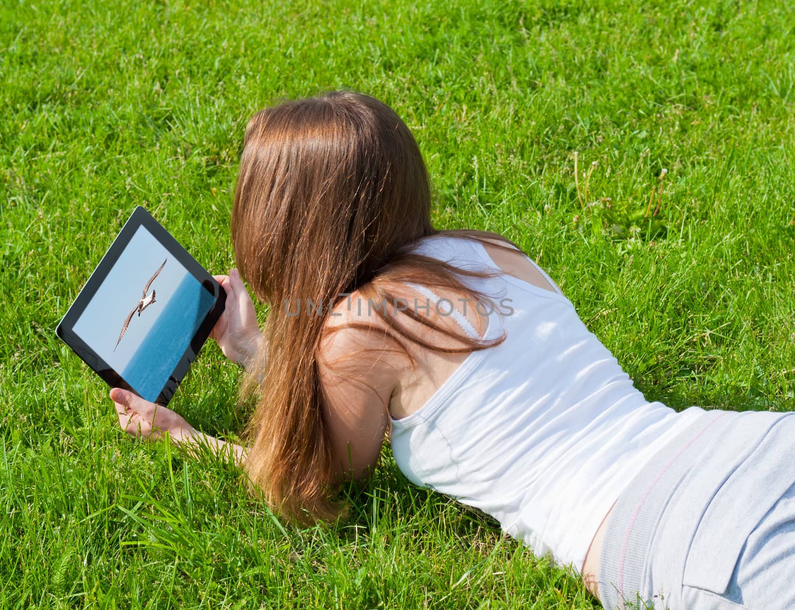 Woman looks pictures wildlife on tablet lying on grass.