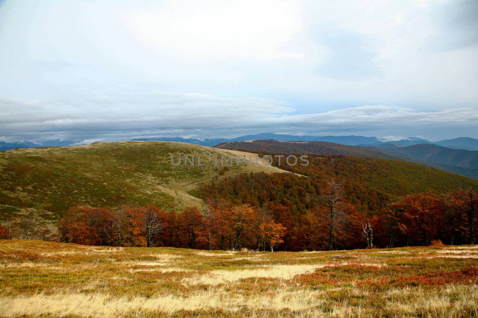 An image of multicoloured nice autumn mountains