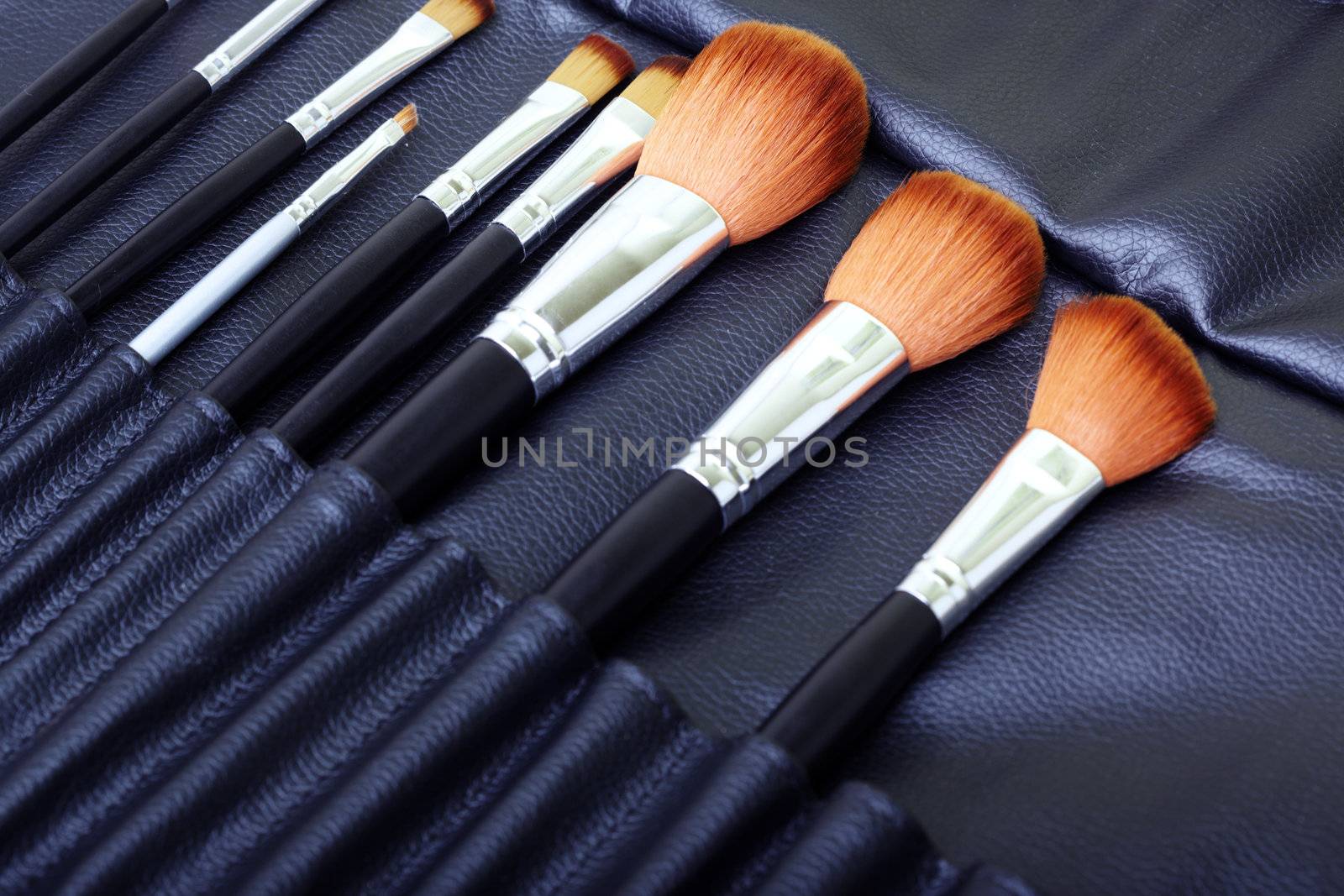 Close-up photo of the professional makeup brush set with leather cover