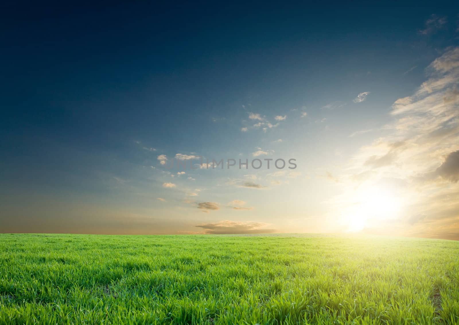 Sunset over green crops by velkol