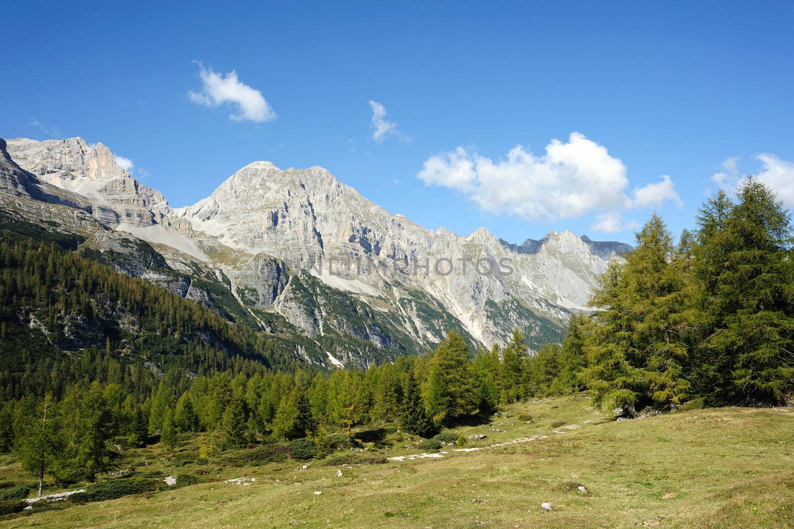 An image of a beautiful green valley in the mountains