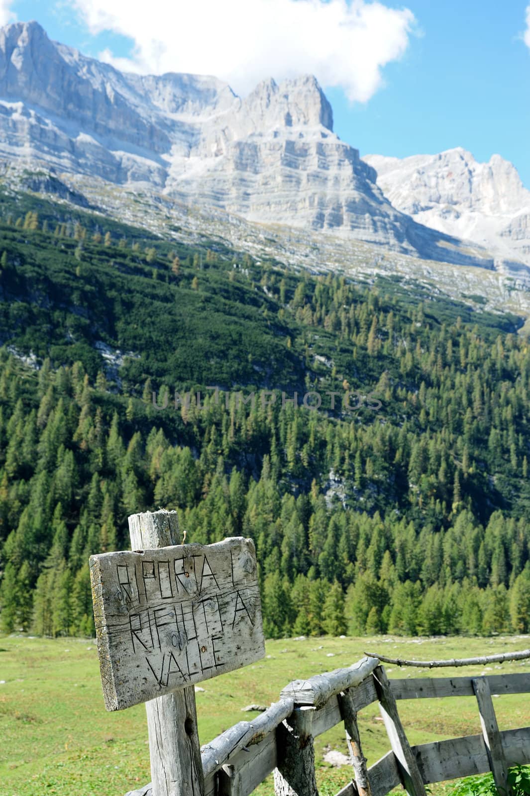 An image of rocky mountains and green wood 