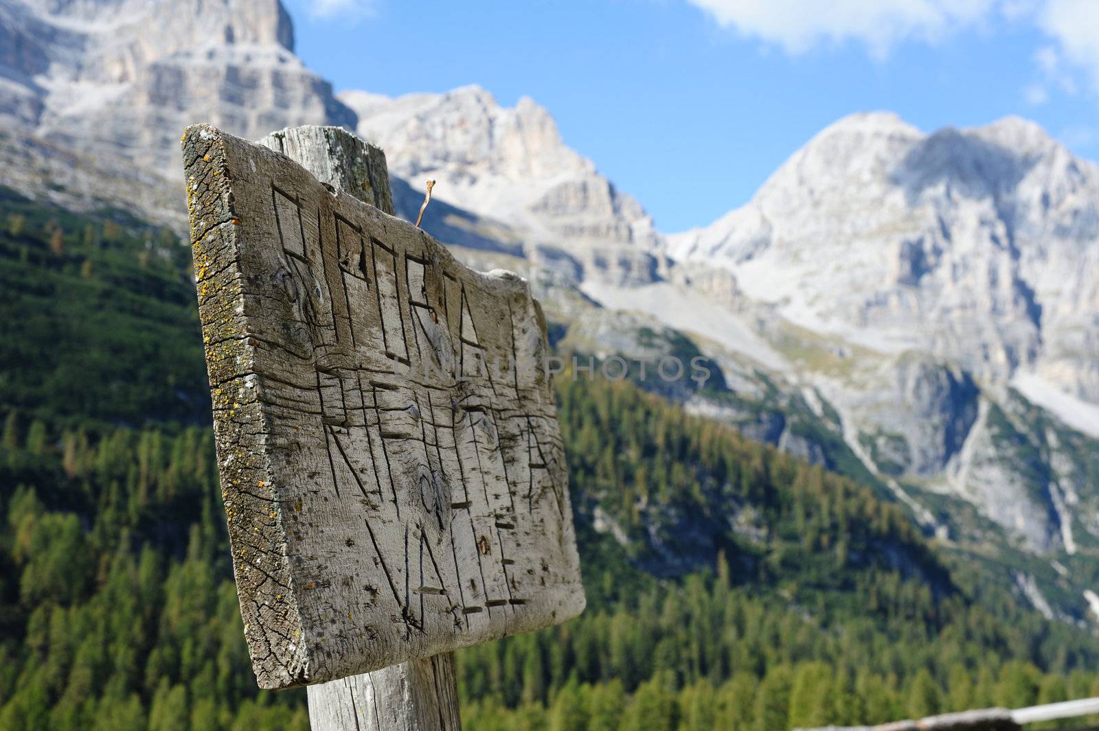 An image of a wwoden sign, rocky mountains and green wood