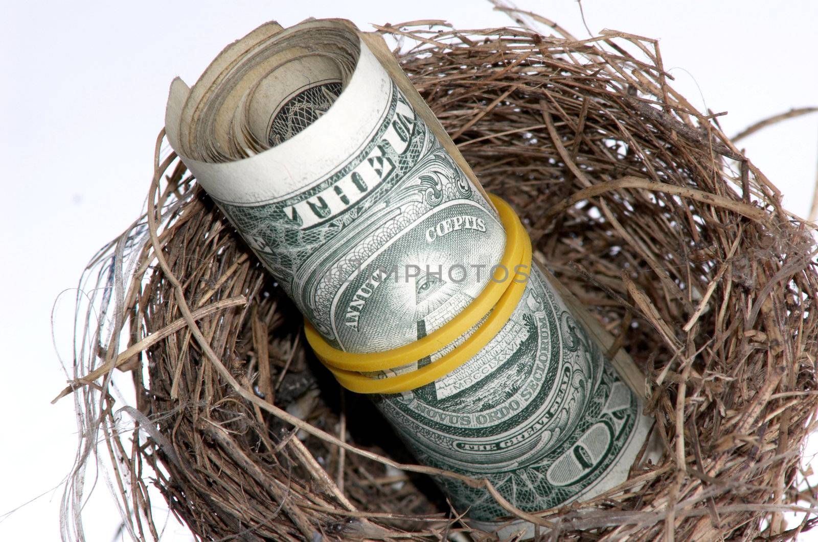 An image of roll of dollars and nest