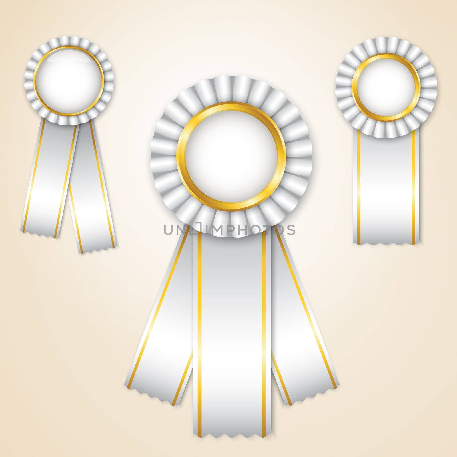 Set of white vector prize ribbons with place for text