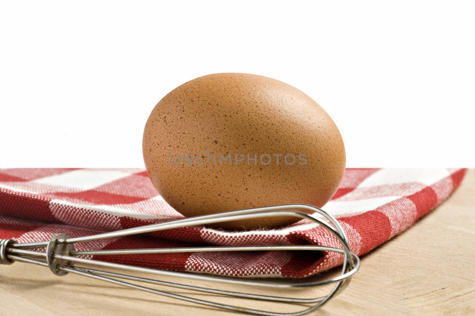 One egg on a white background with space for text by tish1