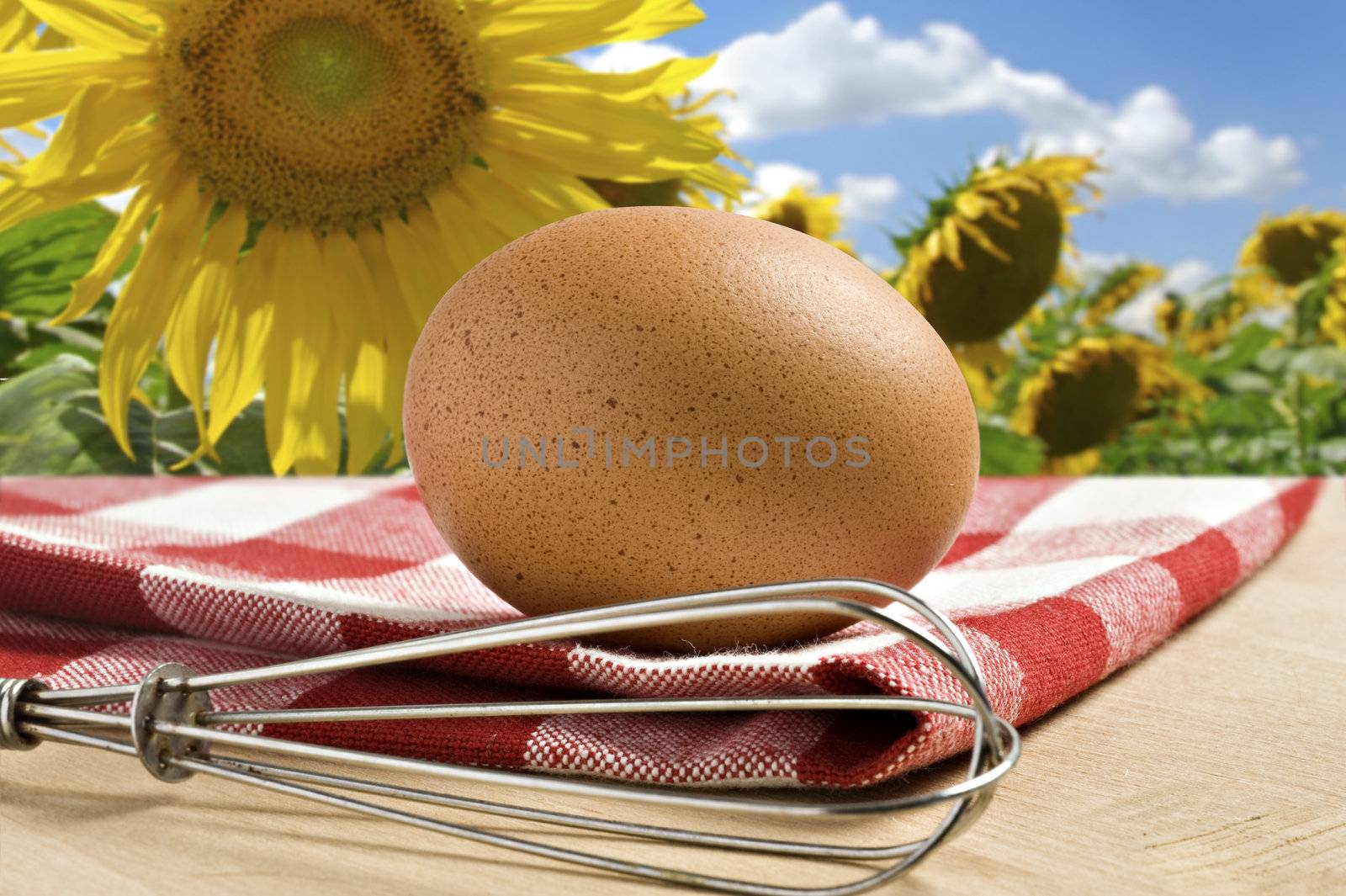 One Egg against flower background