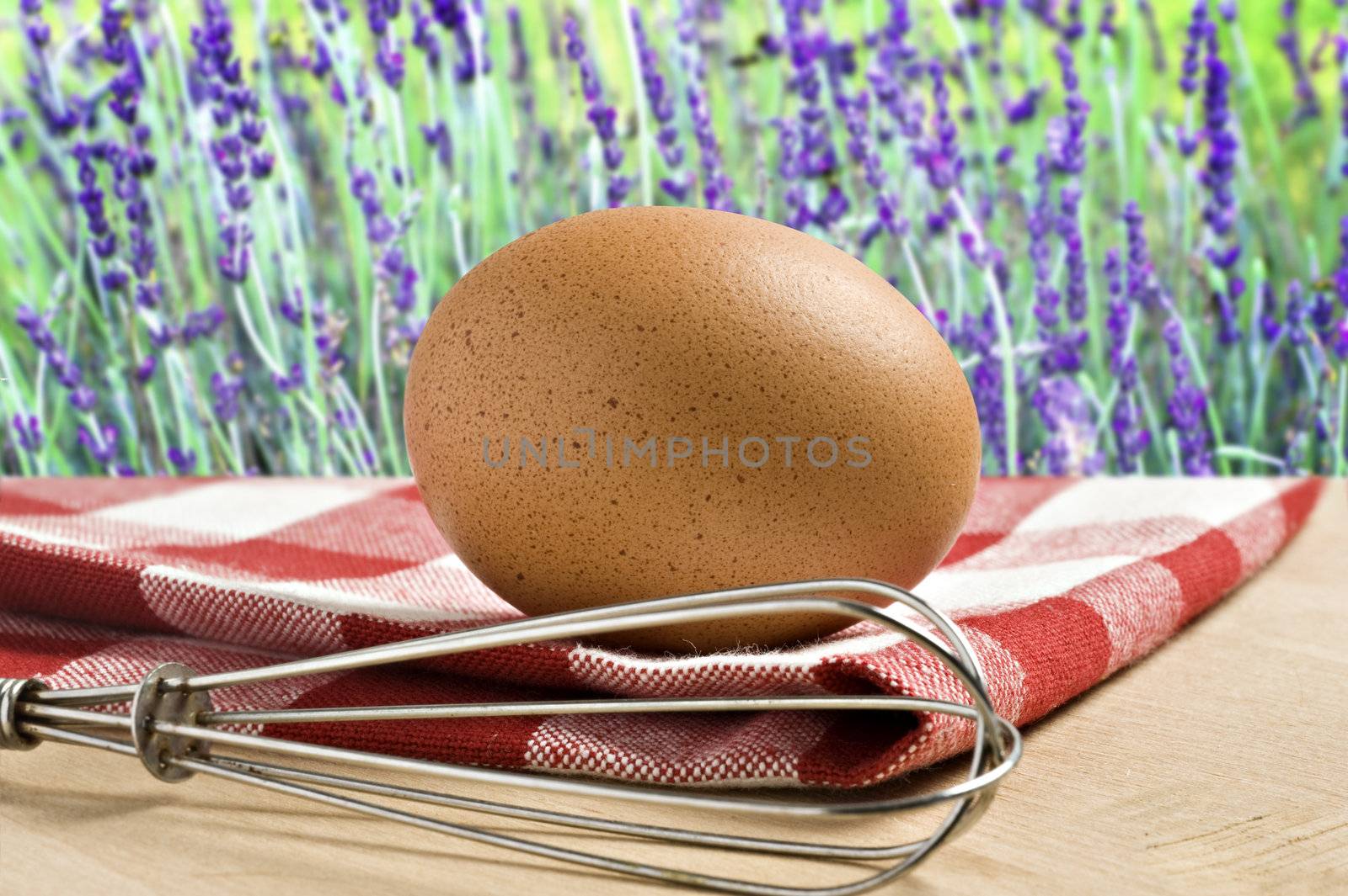 One Egg on a cloth against flower background by tish1