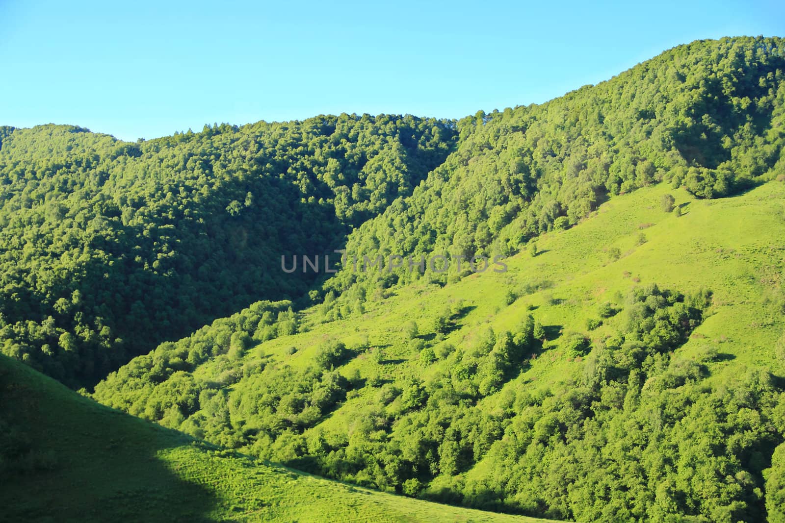 Summer beautiful landscape with Caucasus green mountains