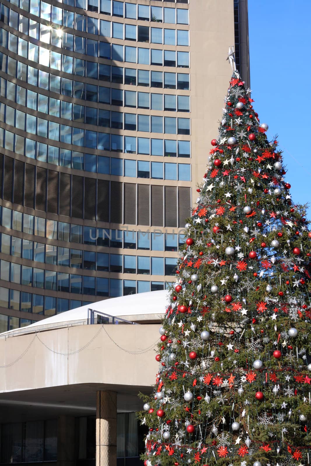 christmas at city hall toronto