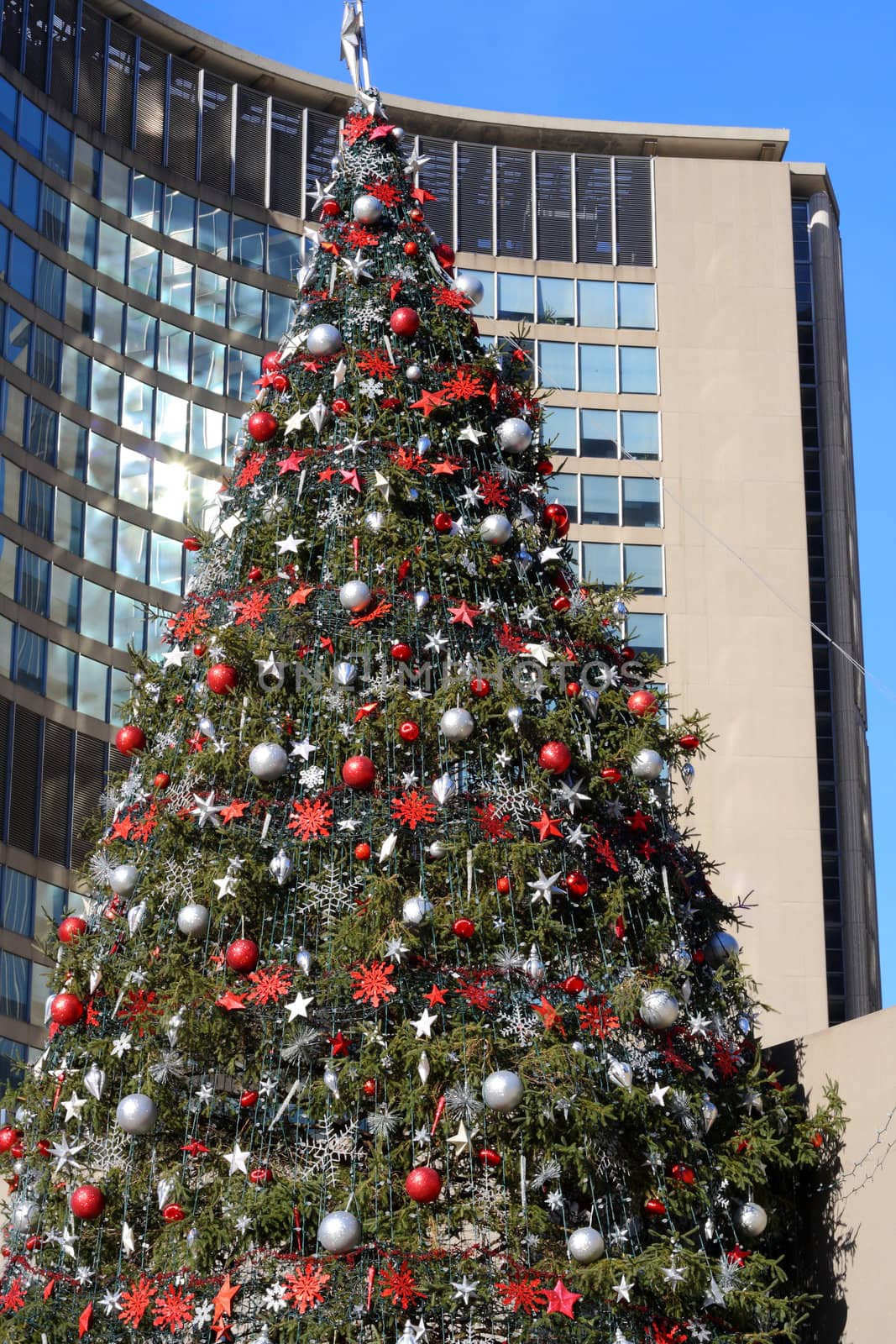 christmas at city hall toronto by njene