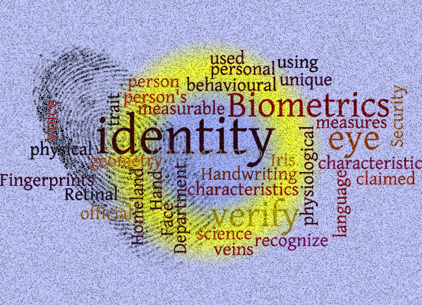 identity theft and biometrics by njene